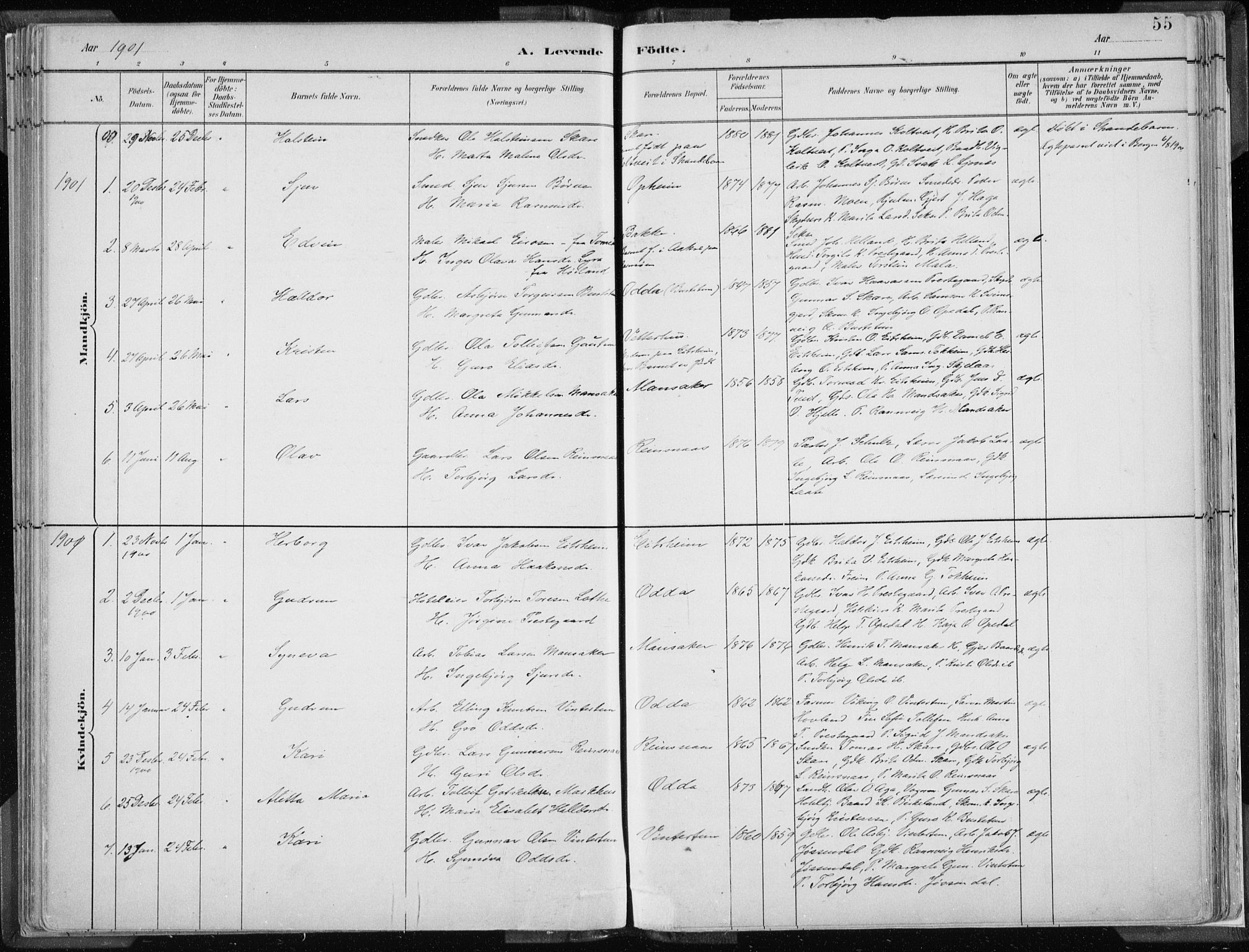 Odda Sokneprestembete, SAB/A-77201/H/Haa: Parish register (official) no. A  3, 1882-1913, p. 55