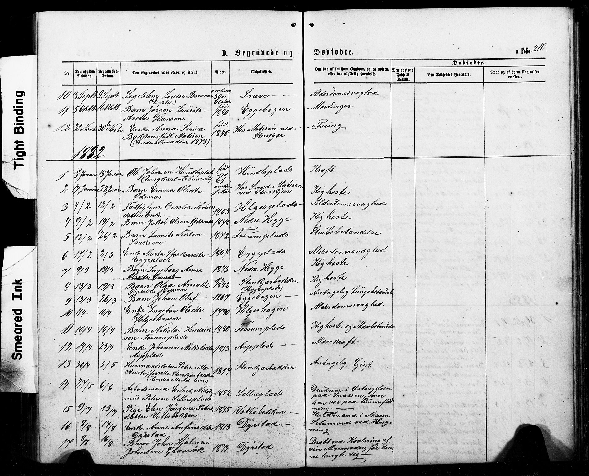 Ministerialprotokoller, klokkerbøker og fødselsregistre - Nord-Trøndelag, SAT/A-1458/740/L0380: Parish register (copy) no. 740C01, 1868-1902, p. 210