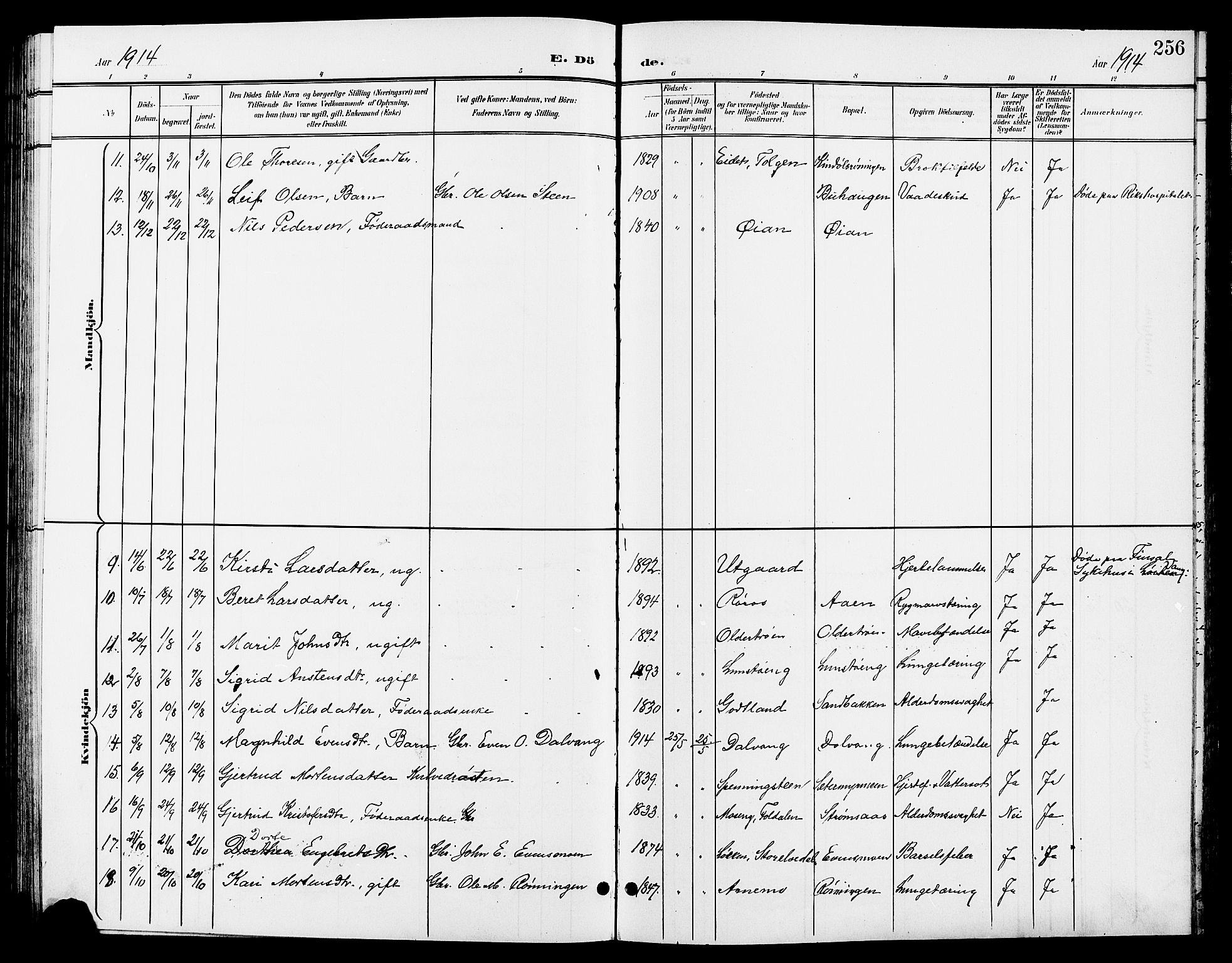 Tynset prestekontor, AV/SAH-PREST-058/H/Ha/Hab/L0009: Parish register (copy) no. 9, 1900-1914, p. 256