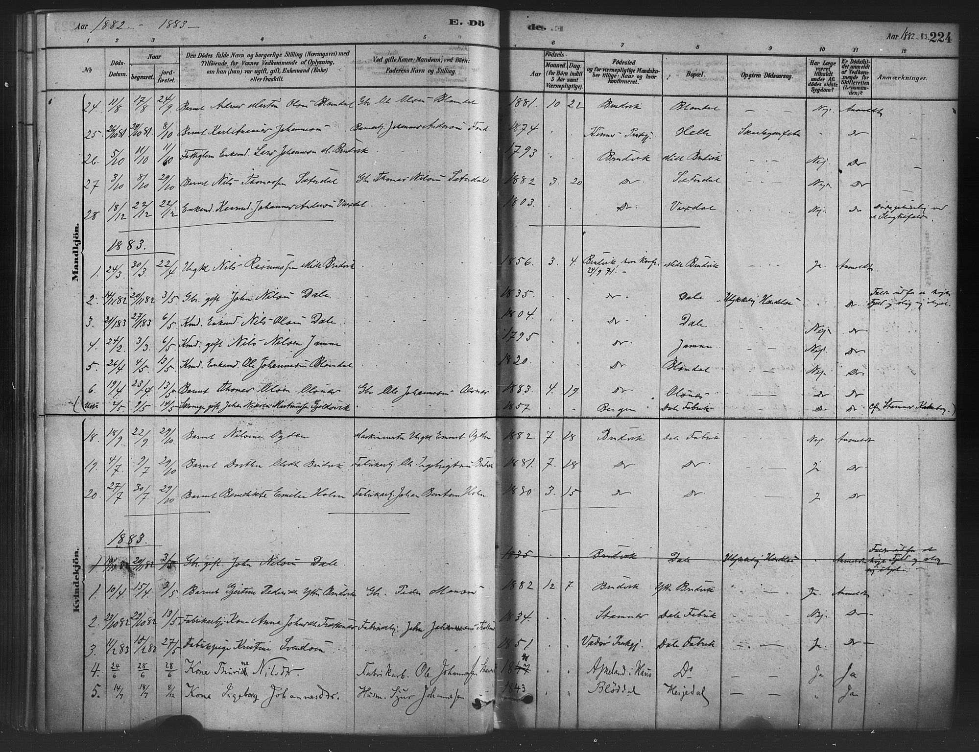 Bruvik Sokneprestembete, SAB/A-74701/H/Haa: Parish register (official) no. B 1, 1878-1904, p. 224