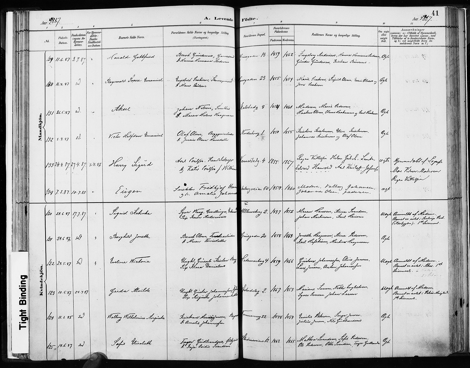 Kampen prestekontor Kirkebøker, SAO/A-10853/F/Fa/L0003: Parish register (official) no. I 3, 1886-1892, p. 41