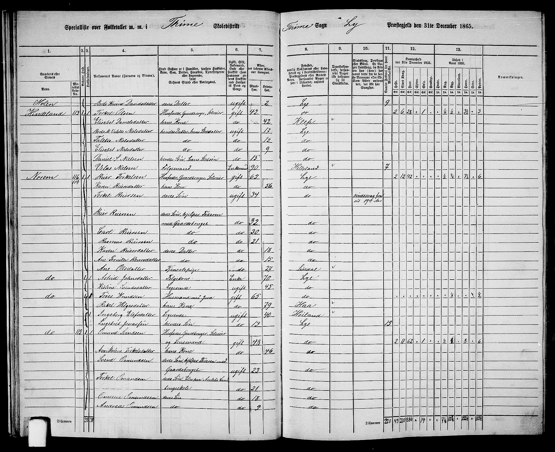 RA, 1865 census for Lye, 1865, p. 21