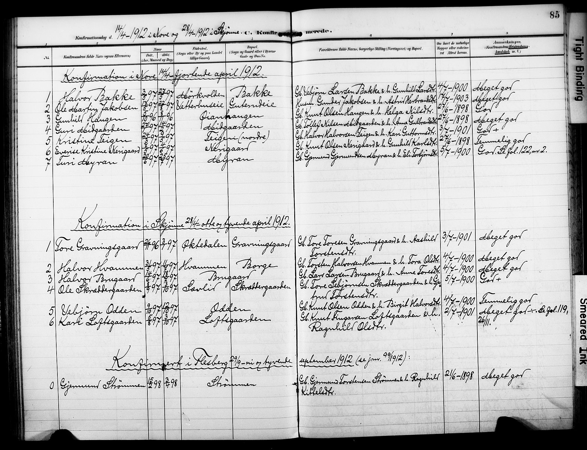 Nore kirkebøker, SAKO/A-238/F/Fb/L0003: Parish register (official) no. II 3, 1906-1926, p. 85