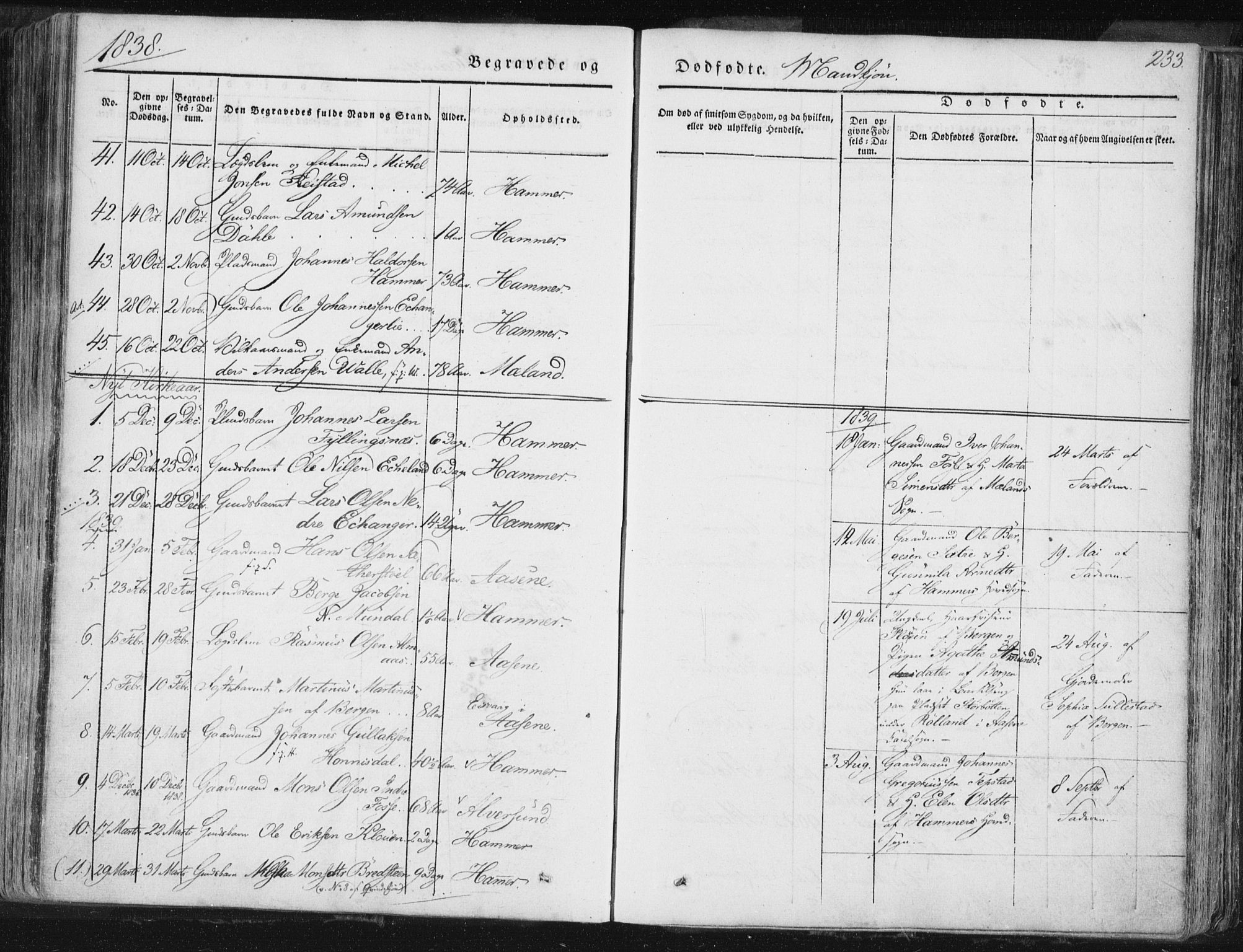 Hamre sokneprestembete, SAB/A-75501/H/Ha/Haa/Haaa/L0012: Parish register (official) no. A 12, 1834-1845, p. 233