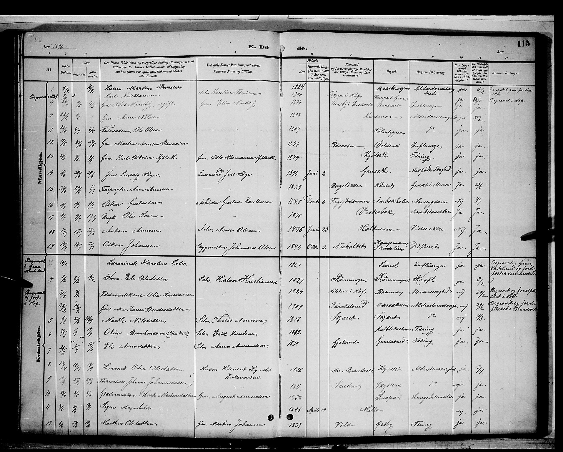 Grue prestekontor, AV/SAH-PREST-036/H/Ha/Hab/L0003: Parish register (copy) no. 3, 1895-1899, p. 115