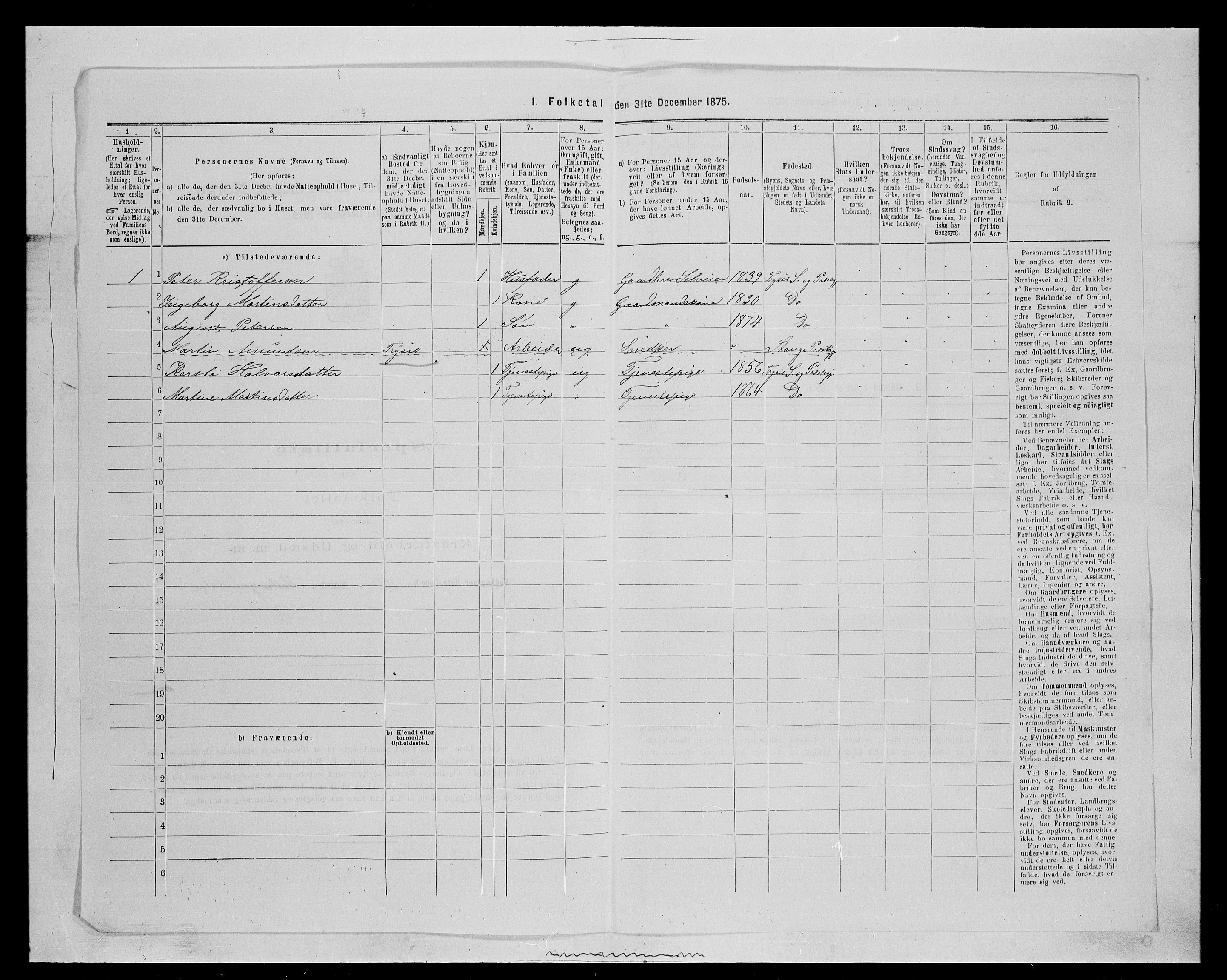 SAH, 1875 census for 0428P Trysil, 1875, p. 411