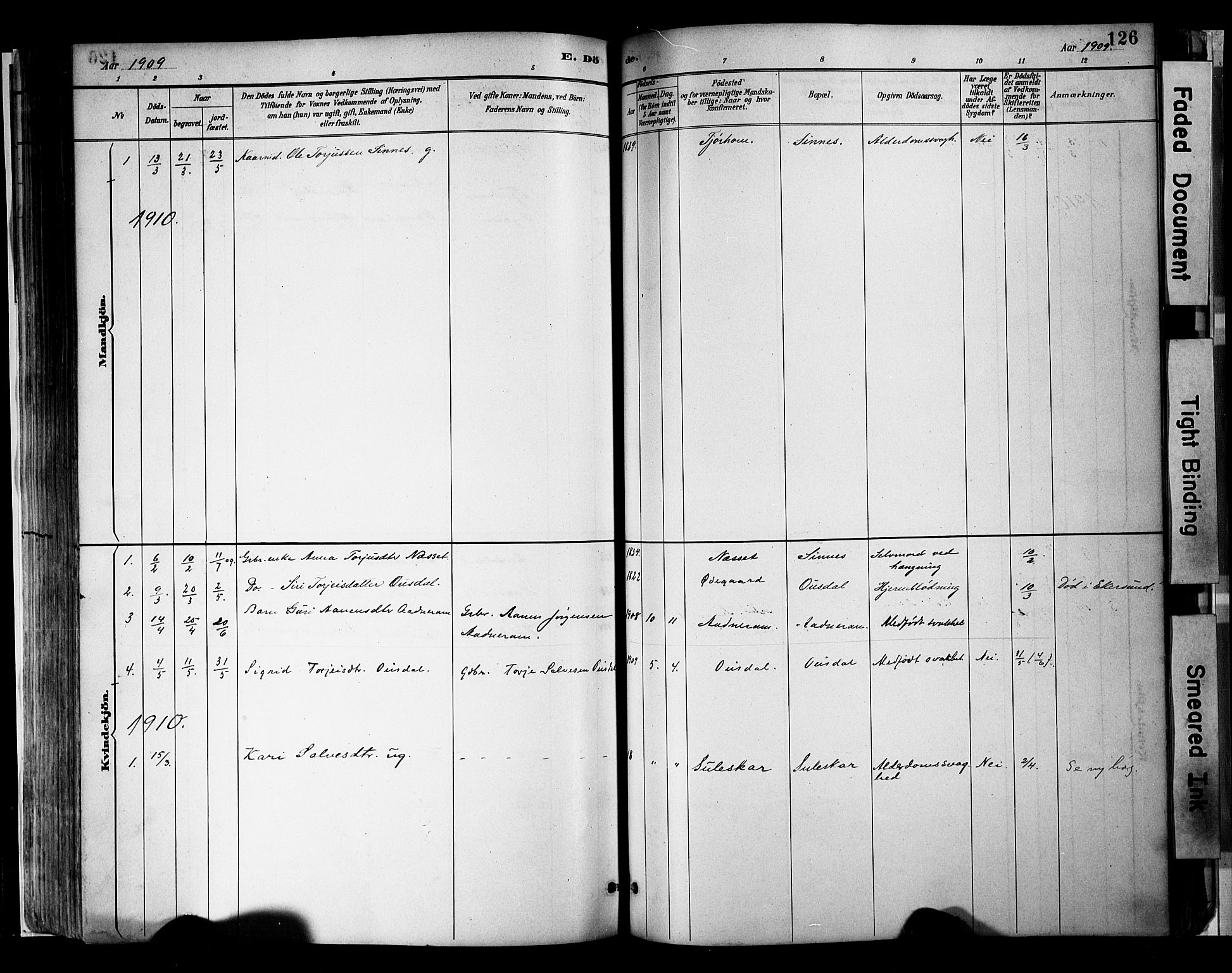 Sirdal sokneprestkontor, SAK/1111-0036/F/Fa/Faa/L0001: Parish register (official) no. A 1, 1887-1910, p. 126