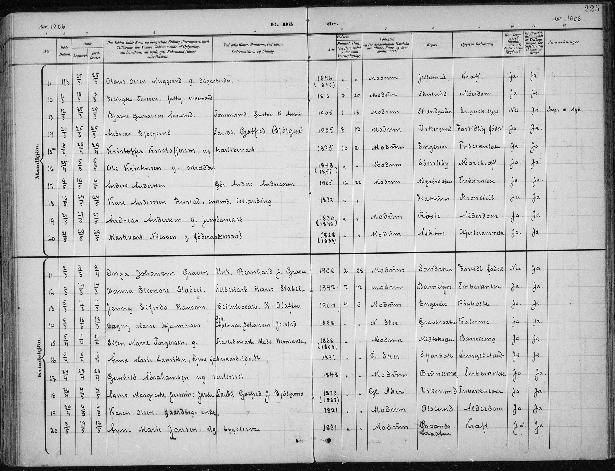 Modum kirkebøker, AV/SAKO-A-234/F/Fa/L0013: Parish register (official) no. 13, 1899-1907, p. 225