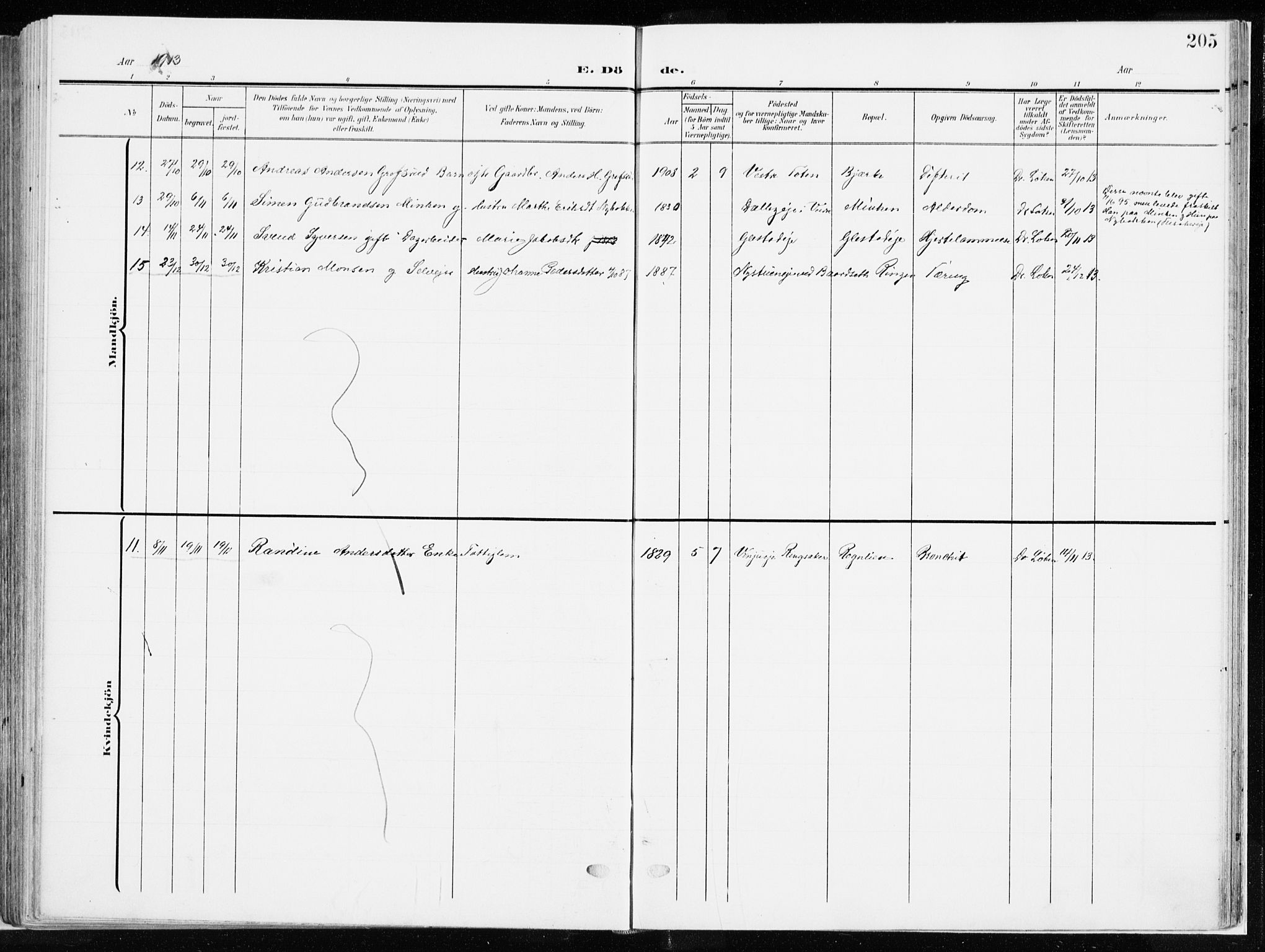 Ringsaker prestekontor, SAH/PREST-014/K/Ka/L0019: Parish register (official) no. 19, 1905-1920, p. 205