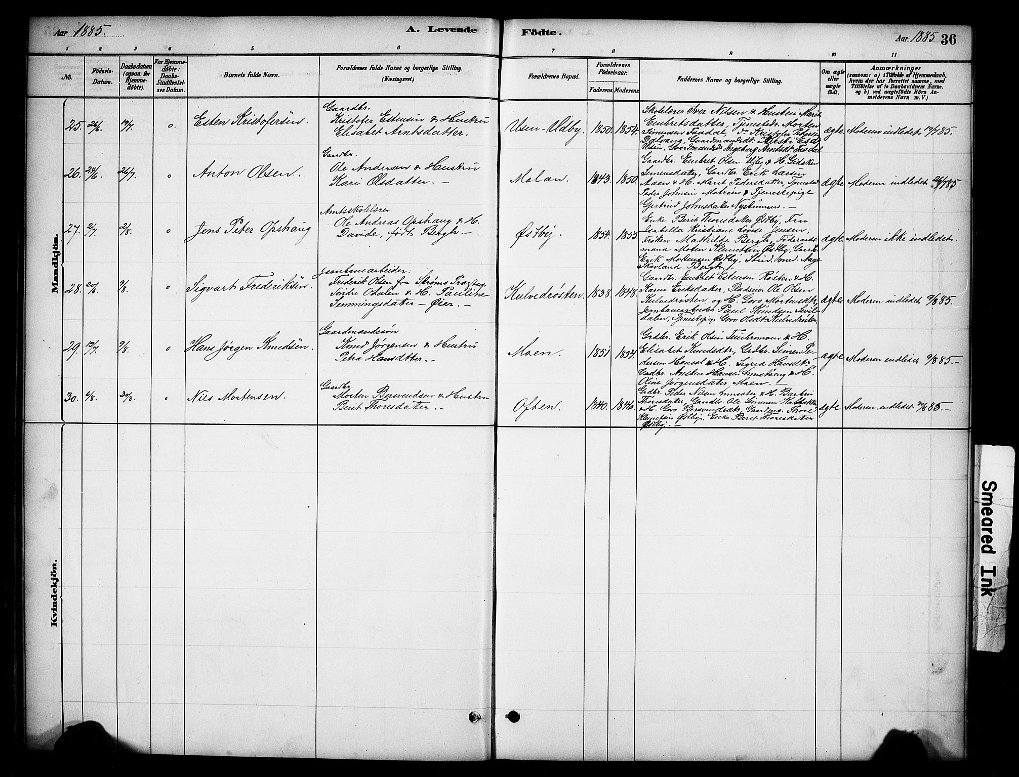 Tynset prestekontor, SAH/PREST-058/H/Ha/Hab/L0006: Parish register (copy) no. 6, 1880-1899, p. 36