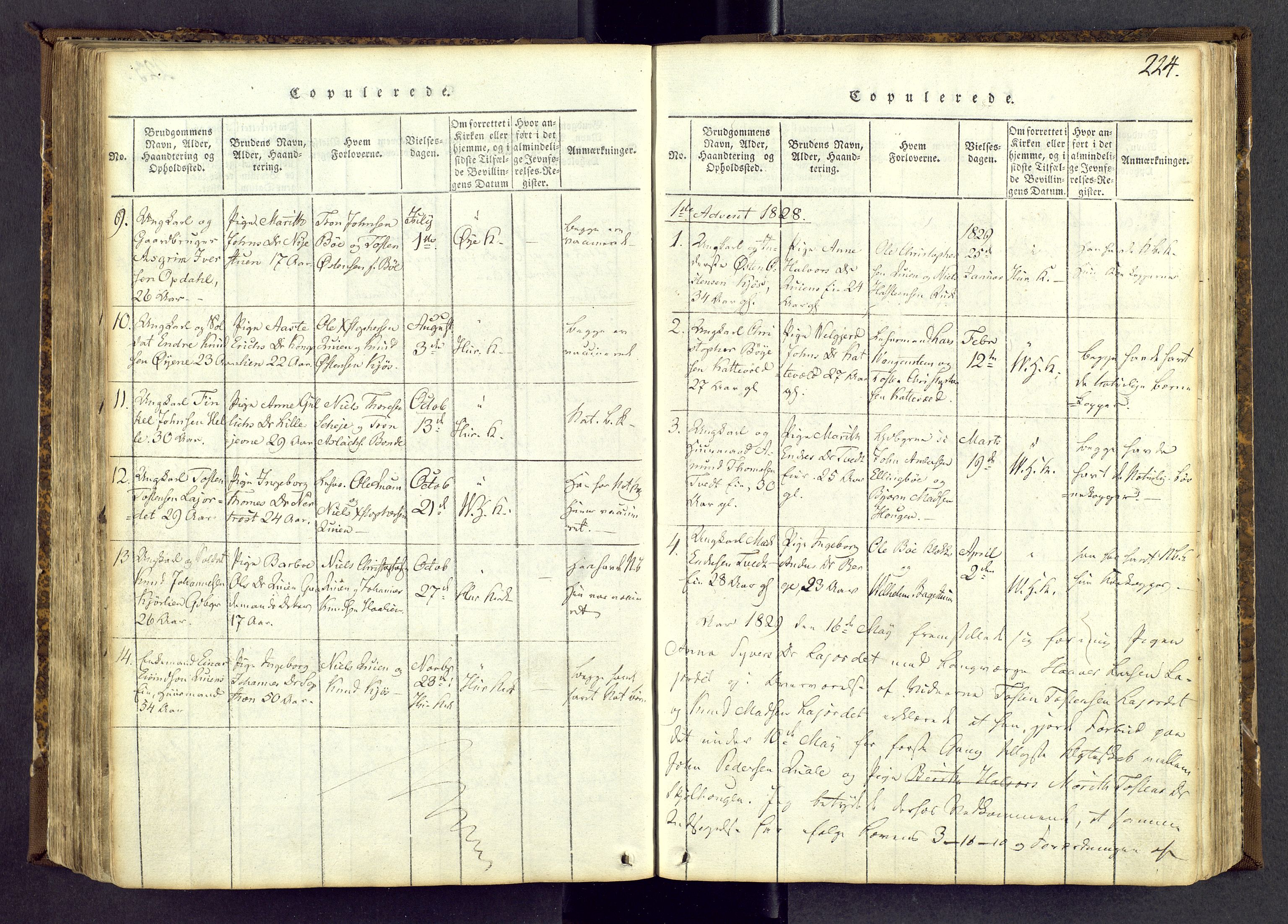 Vang prestekontor, Valdres, SAH/PREST-140/H/Ha/L0004: Parish register (official) no. 4, 1814-1831, p. 224
