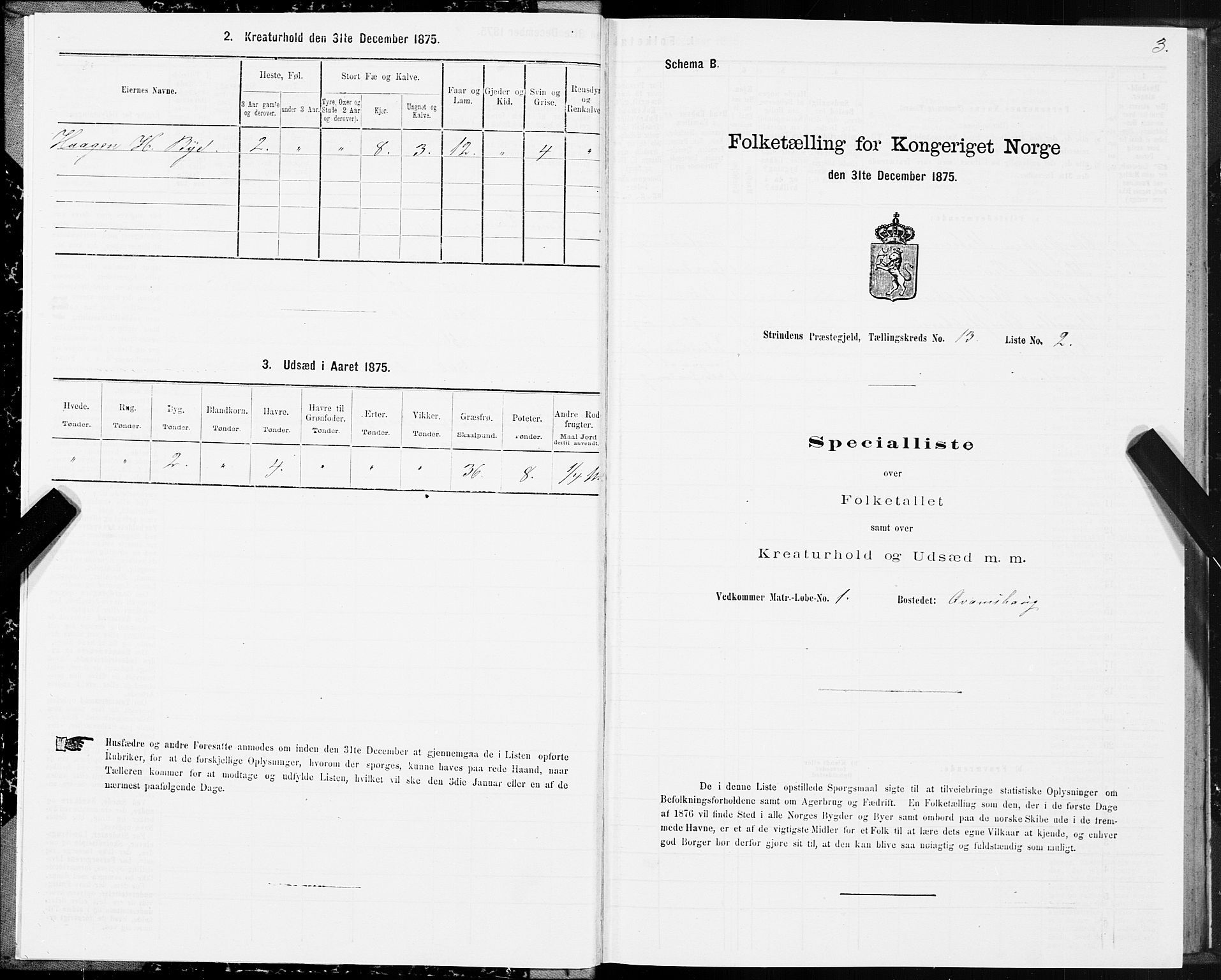 SAT, 1875 census for 1660P Strinda, 1875, p. 8003