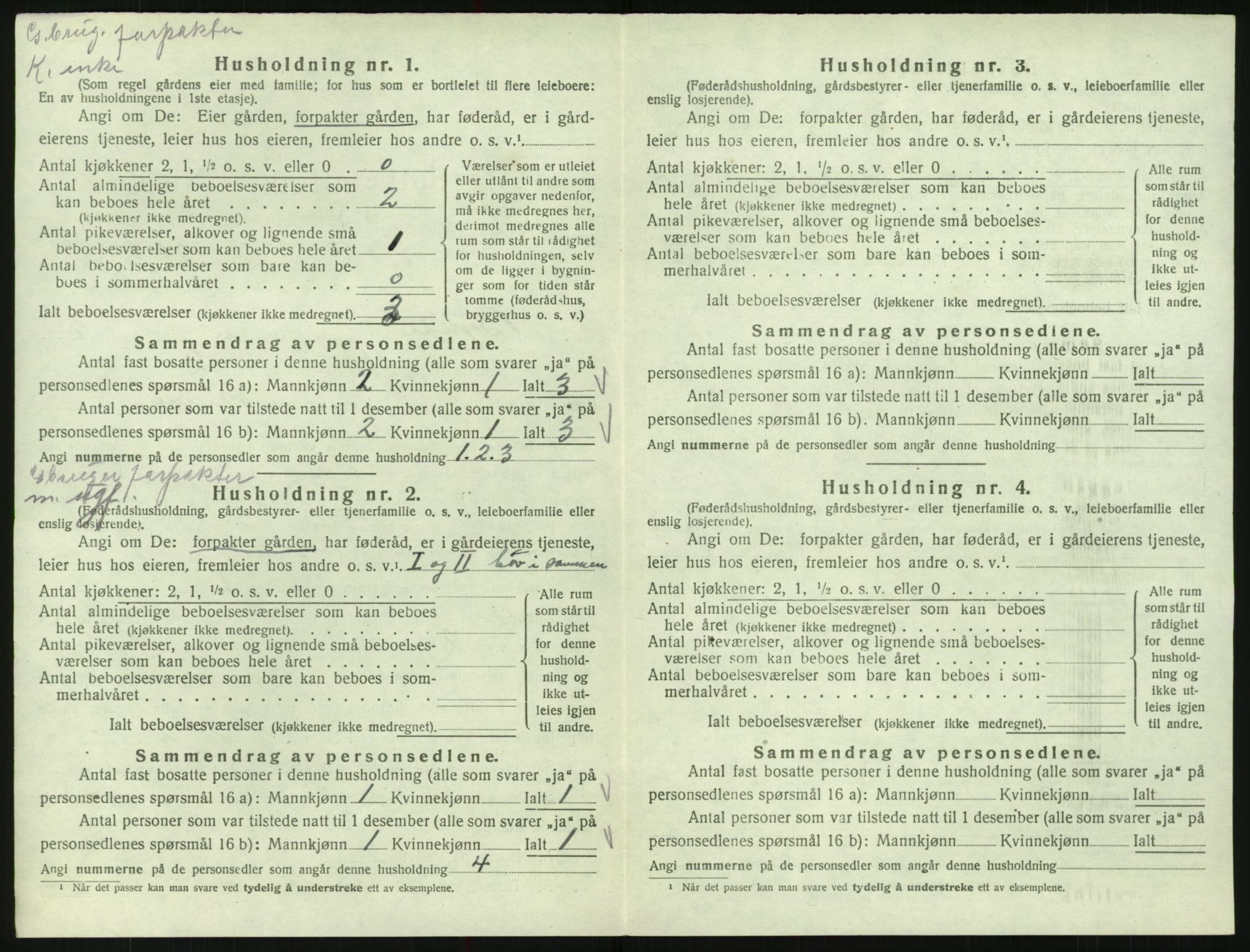 SAK, 1920 census for Bykle, 1920, p. 204