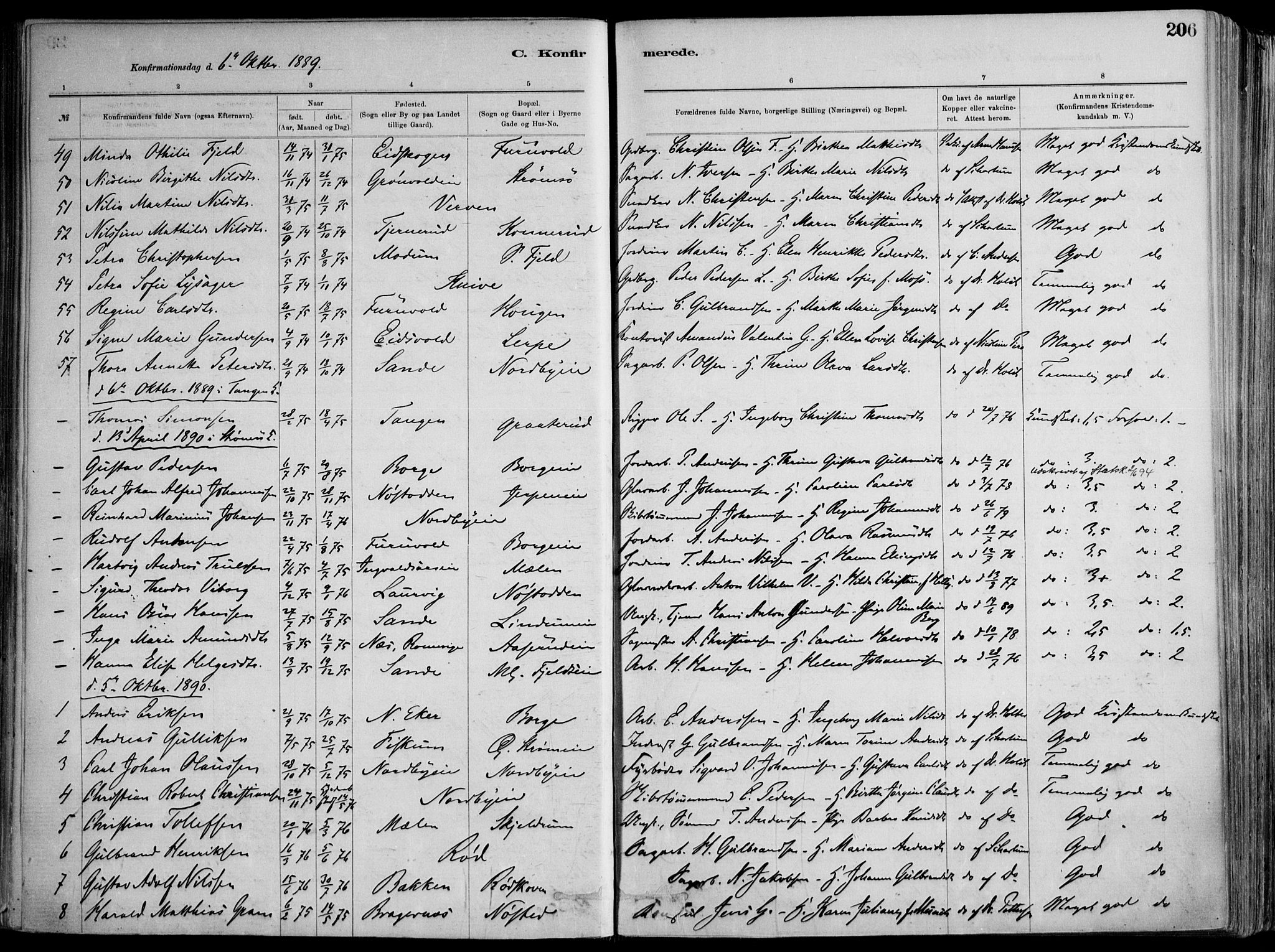 Skoger kirkebøker, AV/SAKO-A-59/F/Fa/L0006: Parish register (official) no. I 6, 1885-1910, p. 206