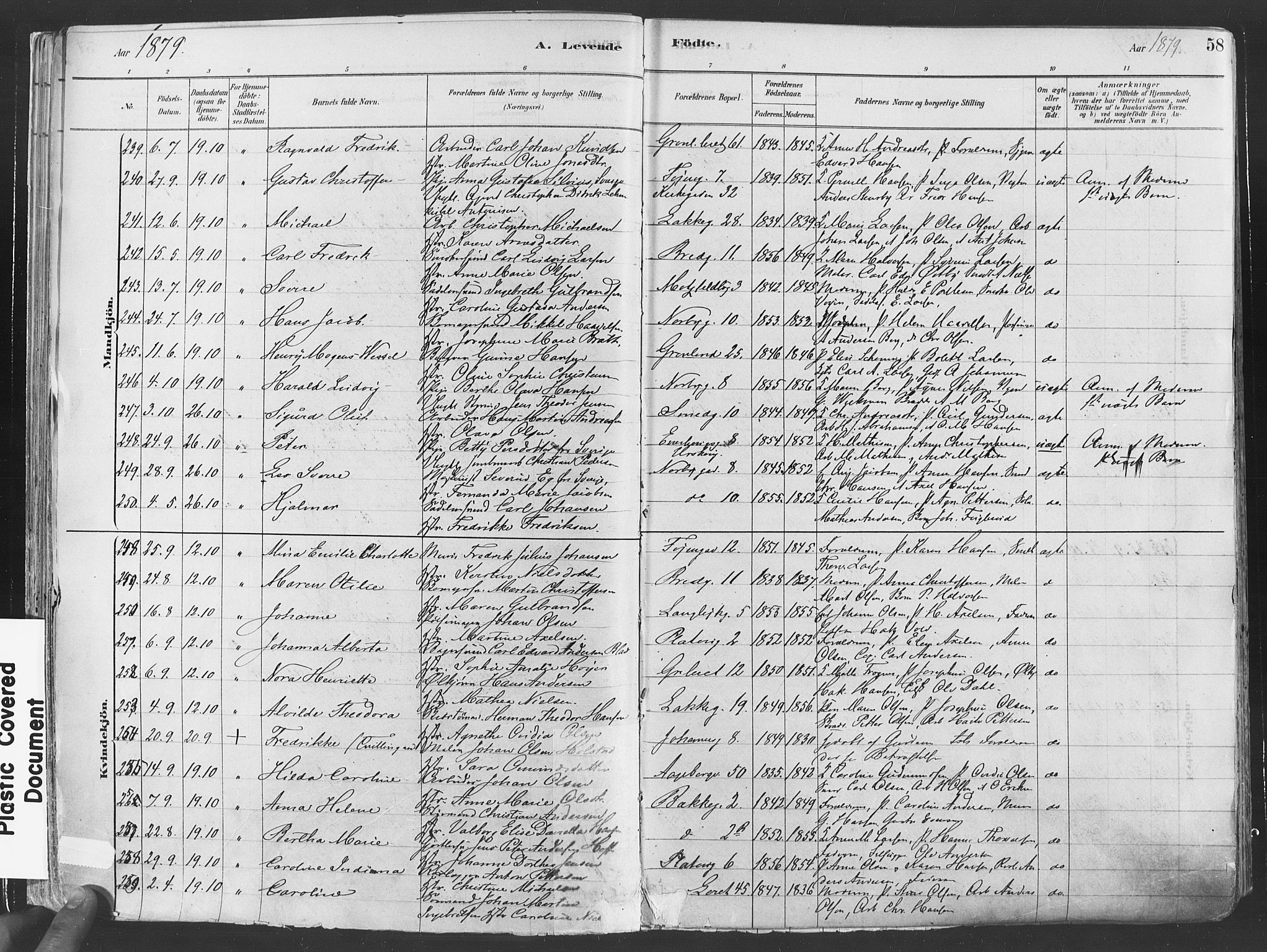 Grønland prestekontor Kirkebøker, SAO/A-10848/F/Fa/L0007: Parish register (official) no. 7, 1878-1888, p. 58