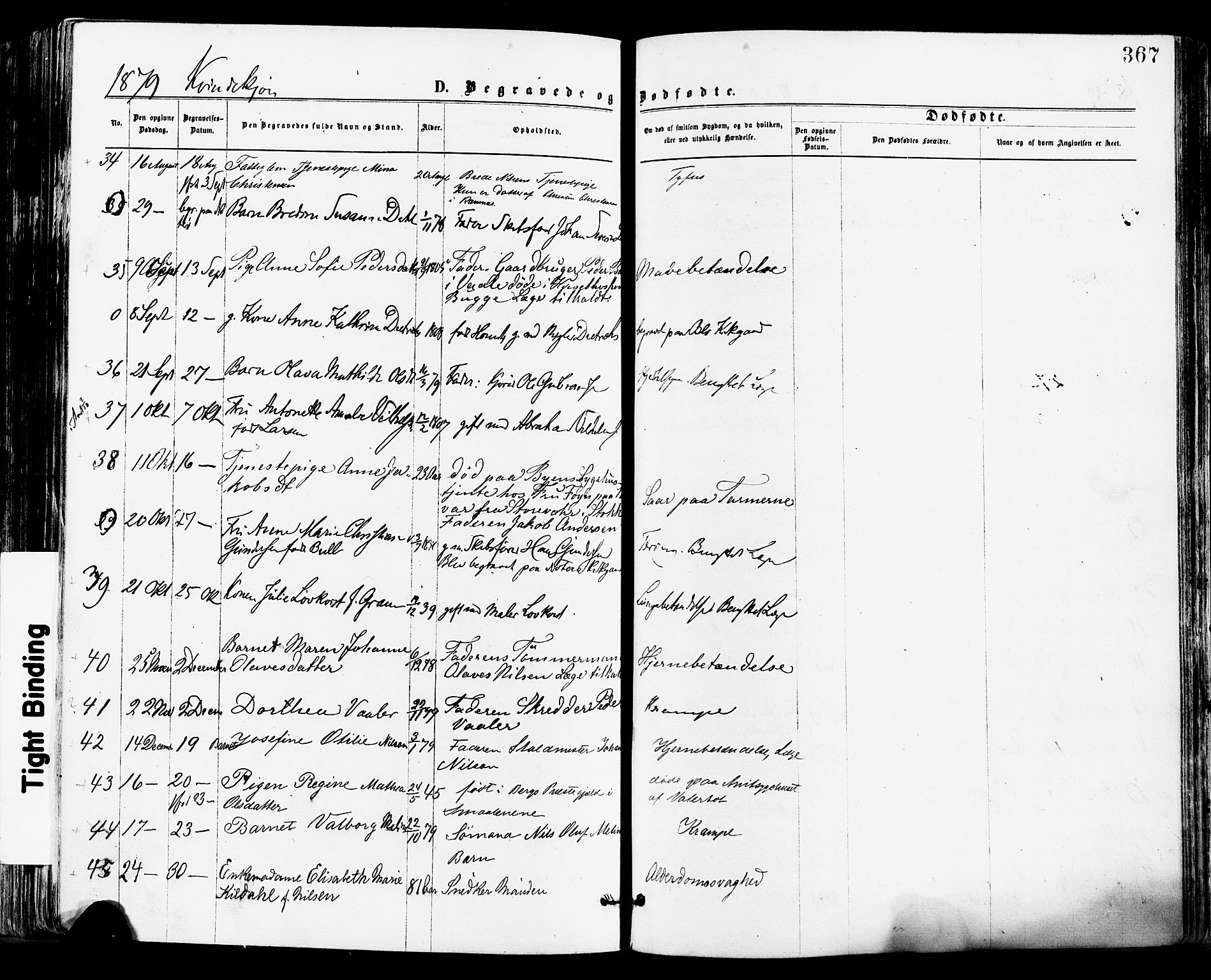 Tønsberg kirkebøker, SAKO/A-330/F/Fa/L0010: Parish register (official) no. I 10, 1874-1880, p. 367