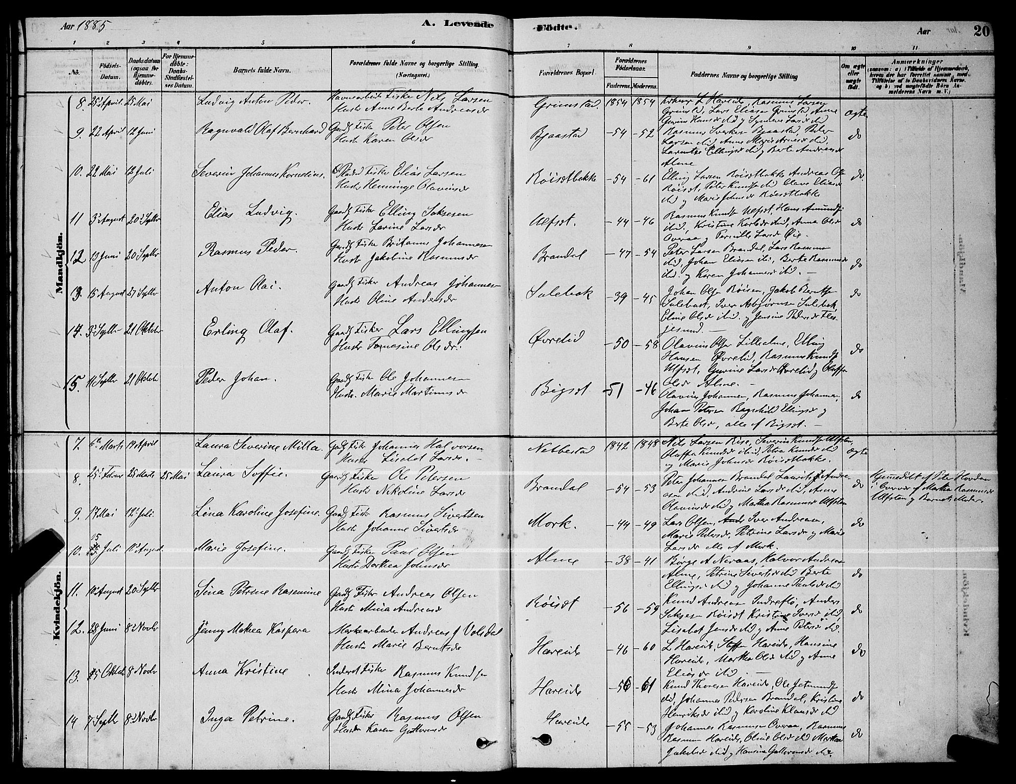 Ministerialprotokoller, klokkerbøker og fødselsregistre - Møre og Romsdal, AV/SAT-A-1454/510/L0125: Parish register (copy) no. 510C02, 1878-1900, p. 20