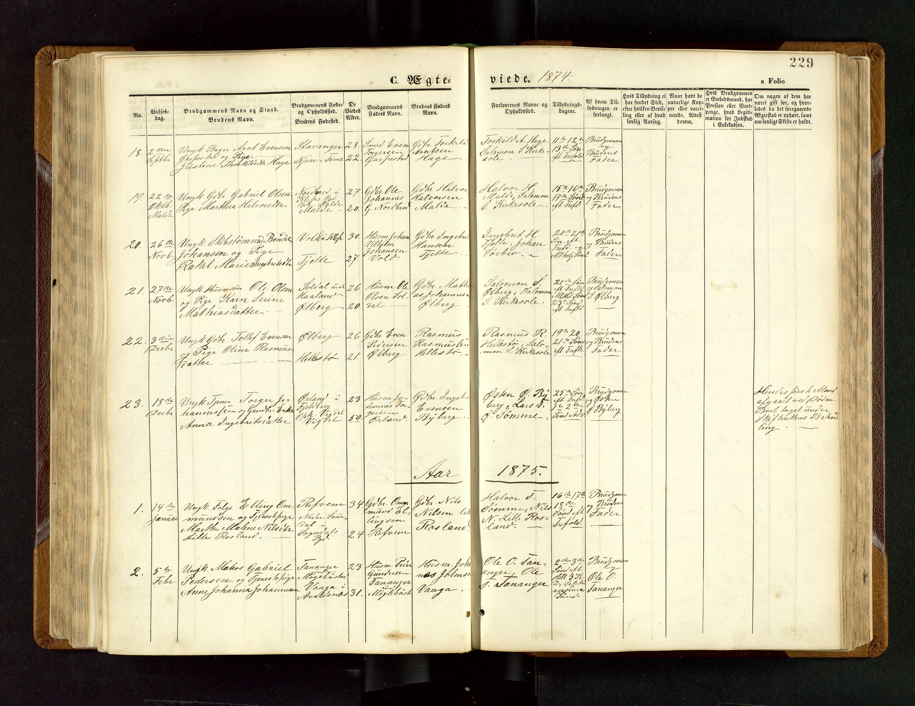 Håland sokneprestkontor, SAST/A-101802/001/30BB/L0003: Parish register (copy) no. B 3, 1873-1893, p. 229