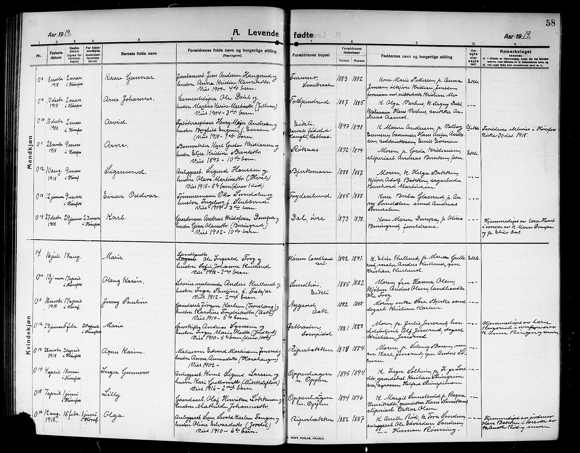 Norderhov kirkebøker, AV/SAKO-A-237/G/Ga/L0009: Parish register (copy) no. I 9, 1913-1920, p. 58