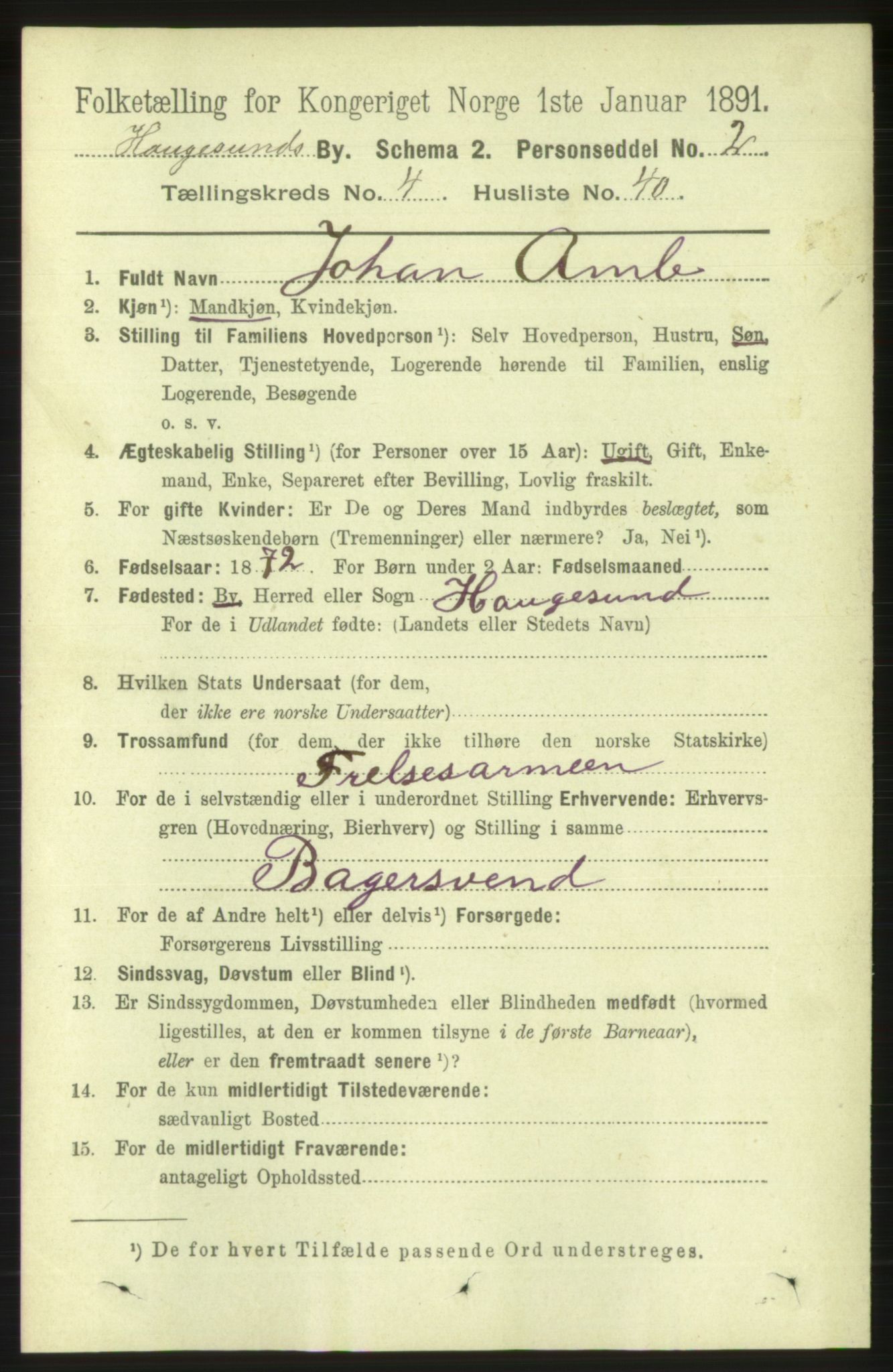 RA, 1891 census for 1106 Haugesund, 1891, p. 1729