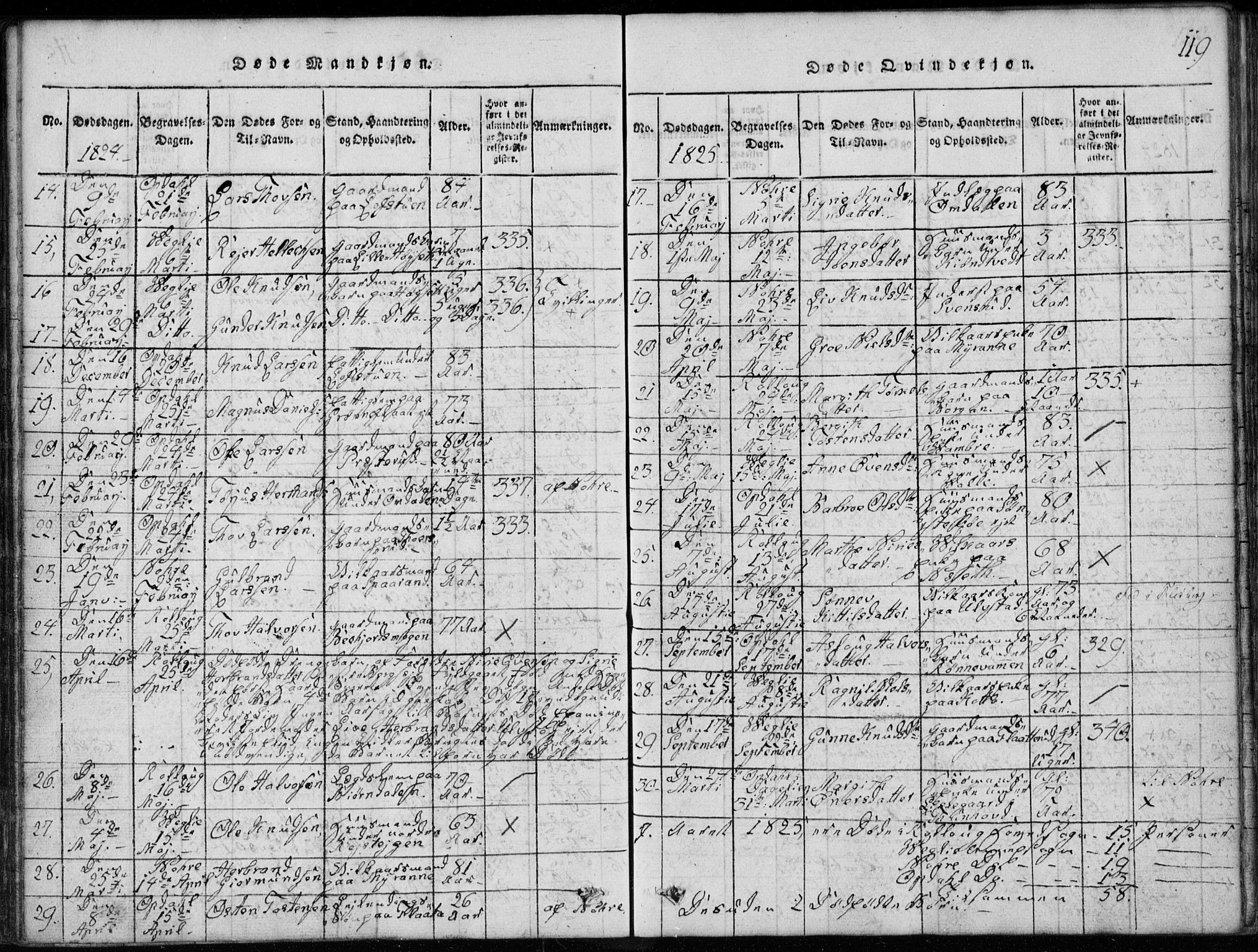 Rollag kirkebøker, SAKO/A-240/G/Ga/L0001: Parish register (copy) no. I 1, 1814-1831, p. 119