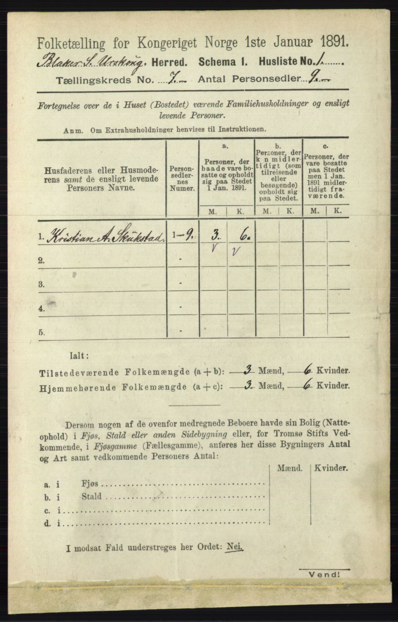 RA, 1891 census for 0224 Aurskog, 1891, p. 3162