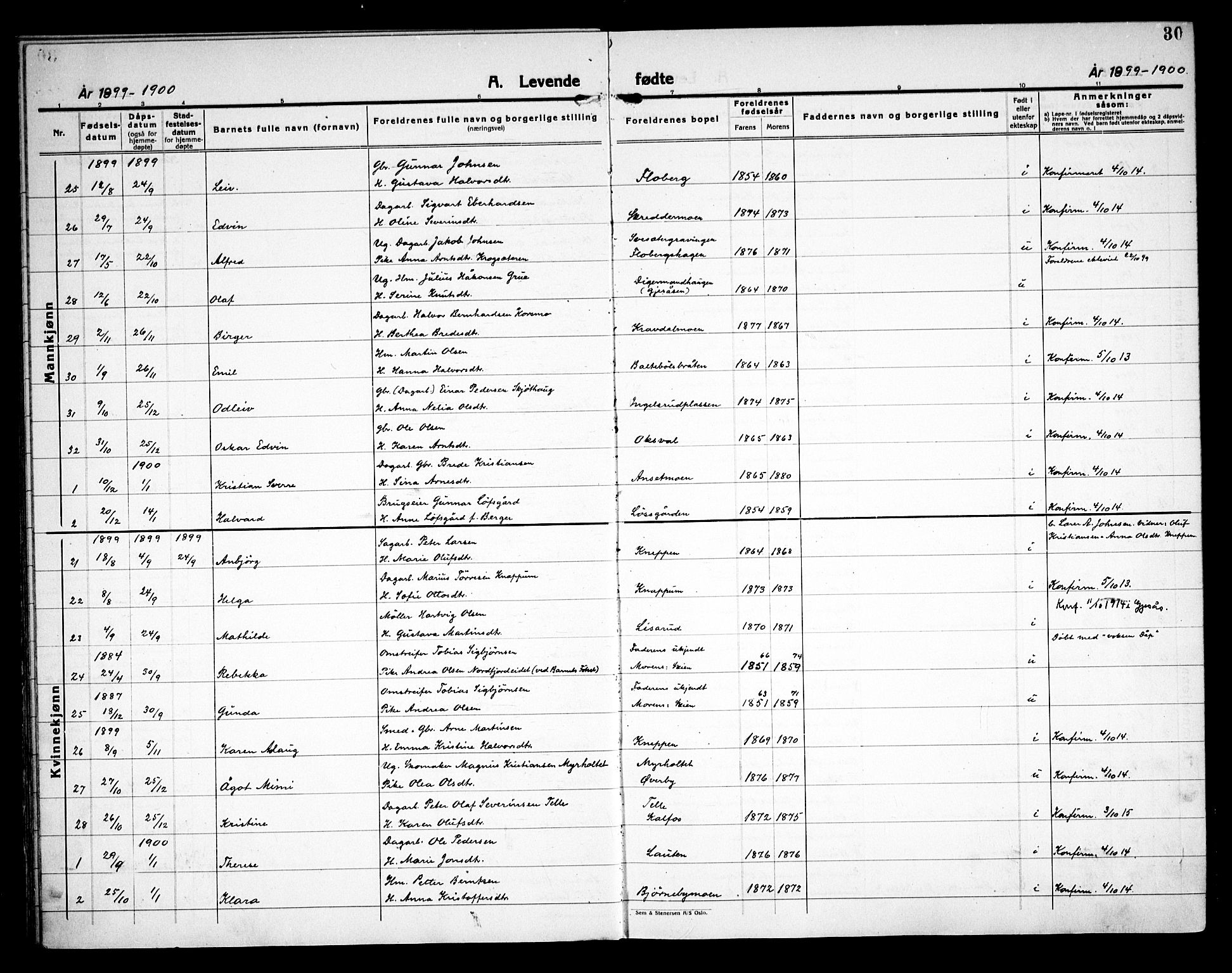 Åsnes prestekontor, AV/SAH-PREST-042/H/Ha/Haa/L0000C: Parish register (official) no. 0A, 1890-1929, p. 30