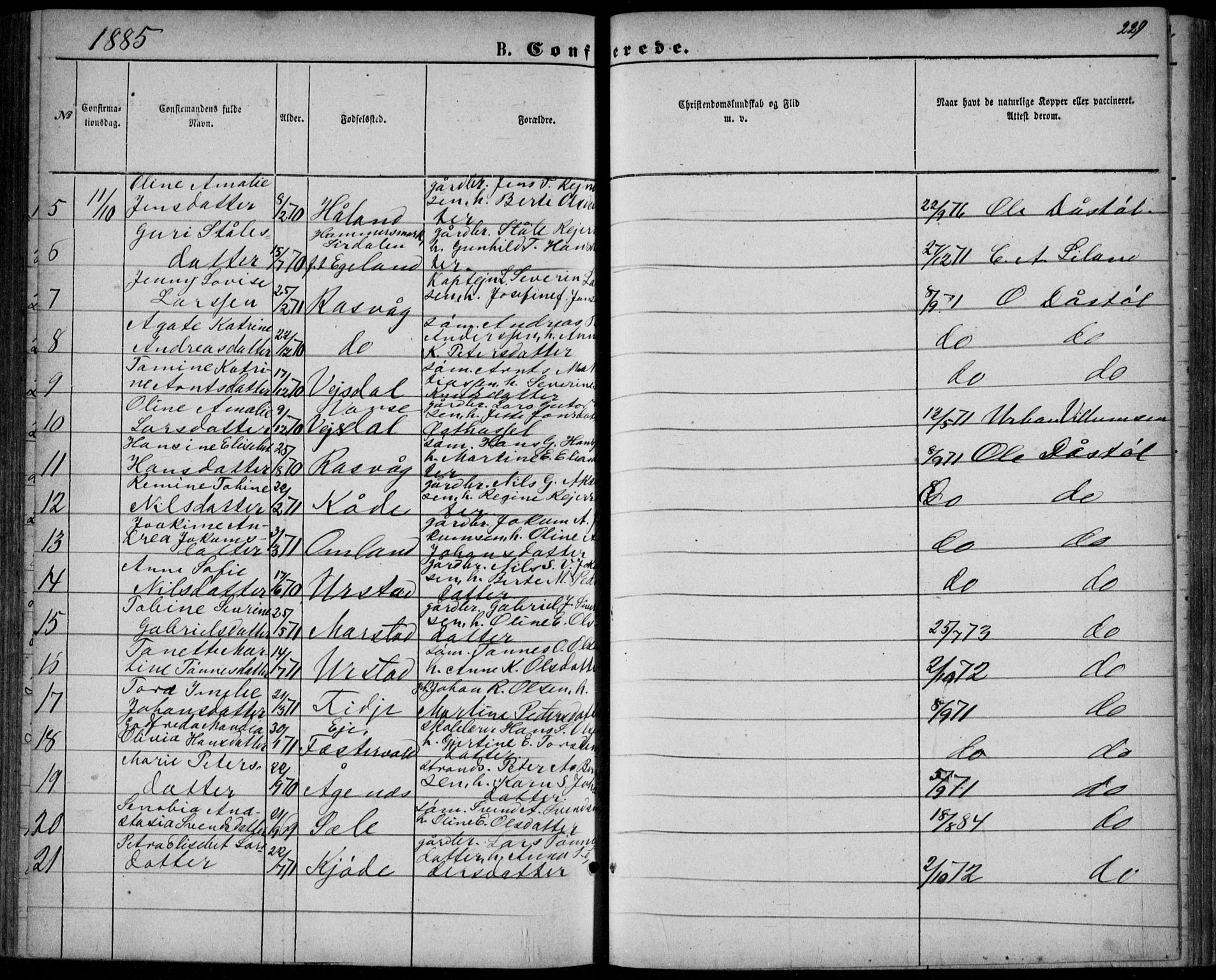 Flekkefjord sokneprestkontor, AV/SAK-1111-0012/F/Fb/Fbb/L0003: Parish register (copy) no. B 3, 1867-1889, p. 229