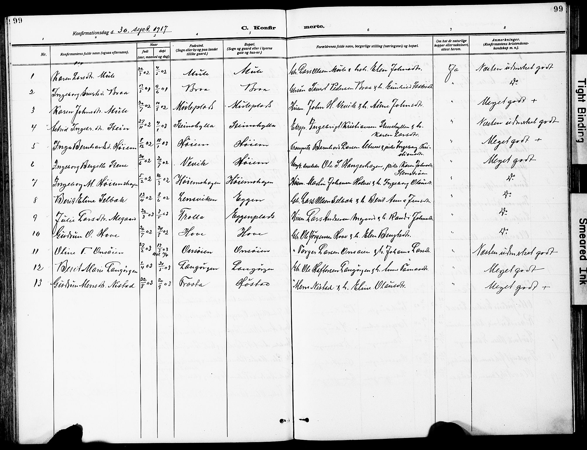 Ministerialprotokoller, klokkerbøker og fødselsregistre - Sør-Trøndelag, AV/SAT-A-1456/612/L0388: Parish register (copy) no. 612C04, 1909-1929, p. 99