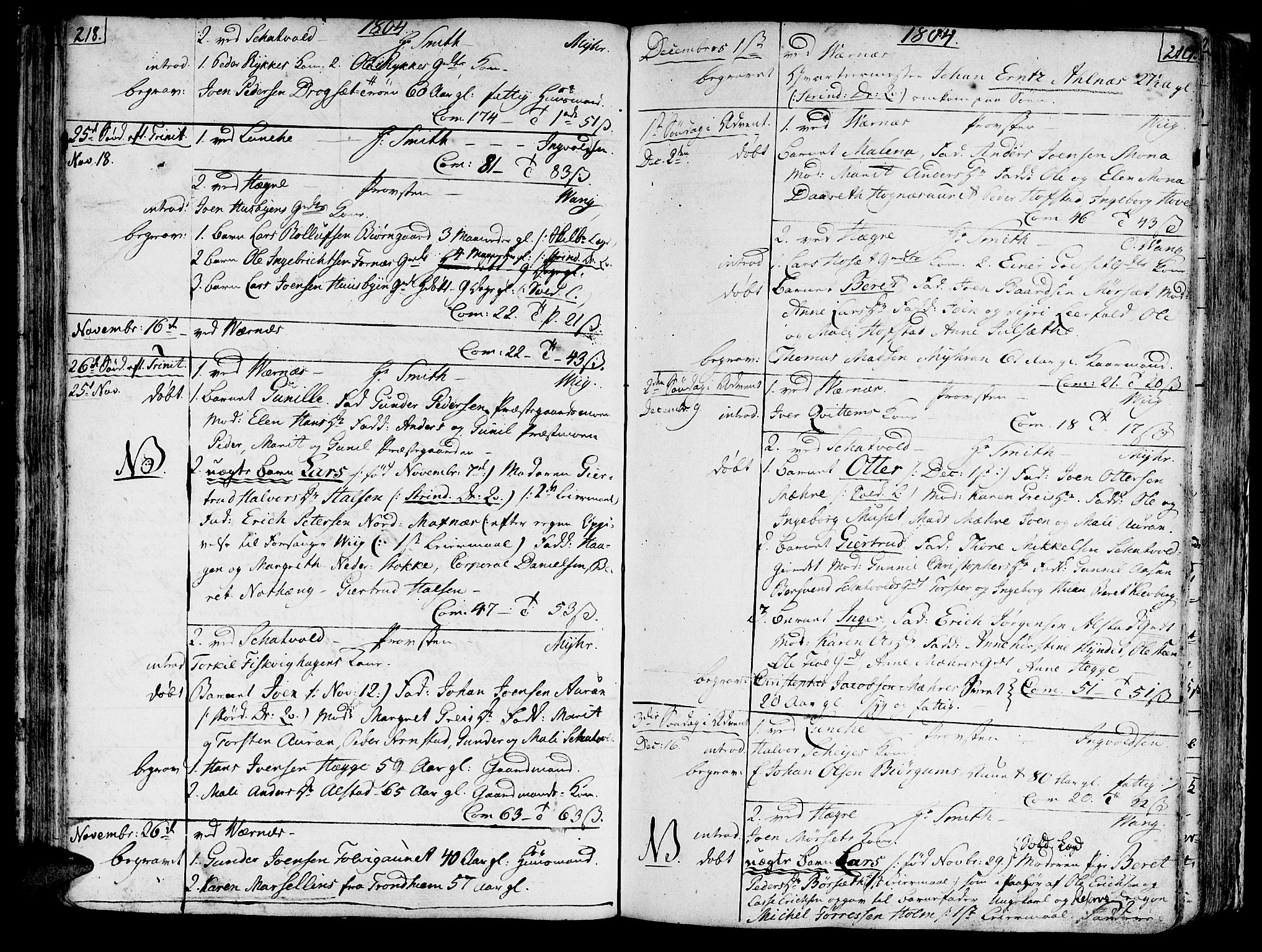 Ministerialprotokoller, klokkerbøker og fødselsregistre - Nord-Trøndelag, SAT/A-1458/709/L0060: Parish register (official) no. 709A07, 1797-1815, p. 218-219