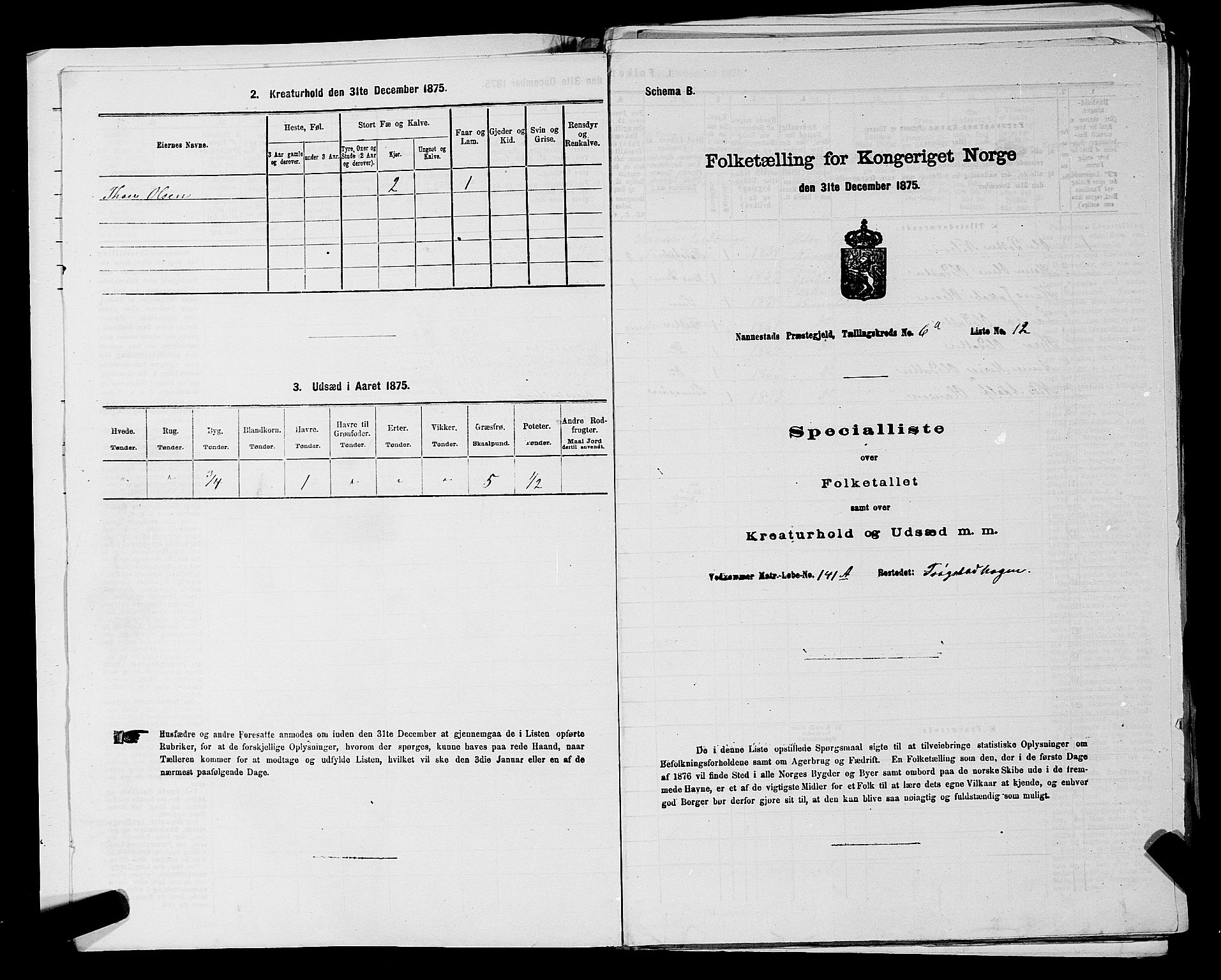 RA, 1875 census for 0238P Nannestad, 1875, p. 877