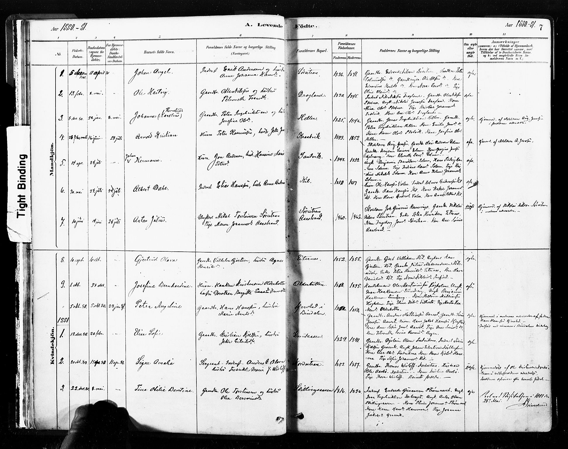 Ministerialprotokoller, klokkerbøker og fødselsregistre - Nord-Trøndelag, SAT/A-1458/789/L0705: Parish register (official) no. 789A01, 1878-1910, p. 7