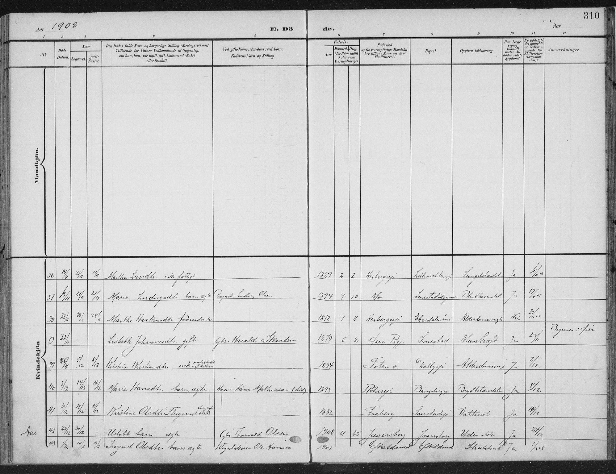 Ringsaker prestekontor, AV/SAH-PREST-014/K/Ka/L0018: Parish register (official) no. 18, 1903-1912, p. 310