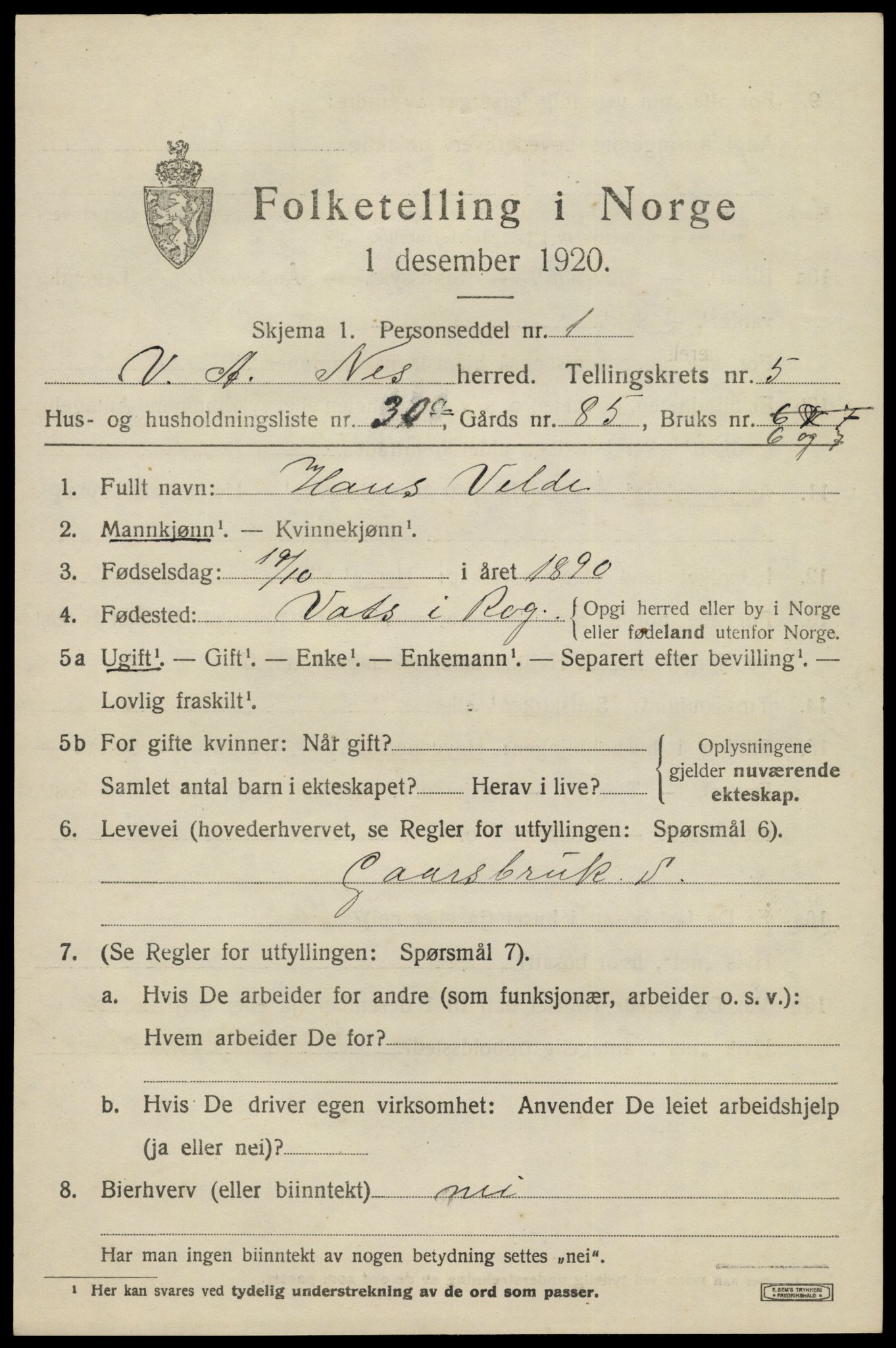 SAK, 1920 census for Nes (V-A), 1920, p. 2958