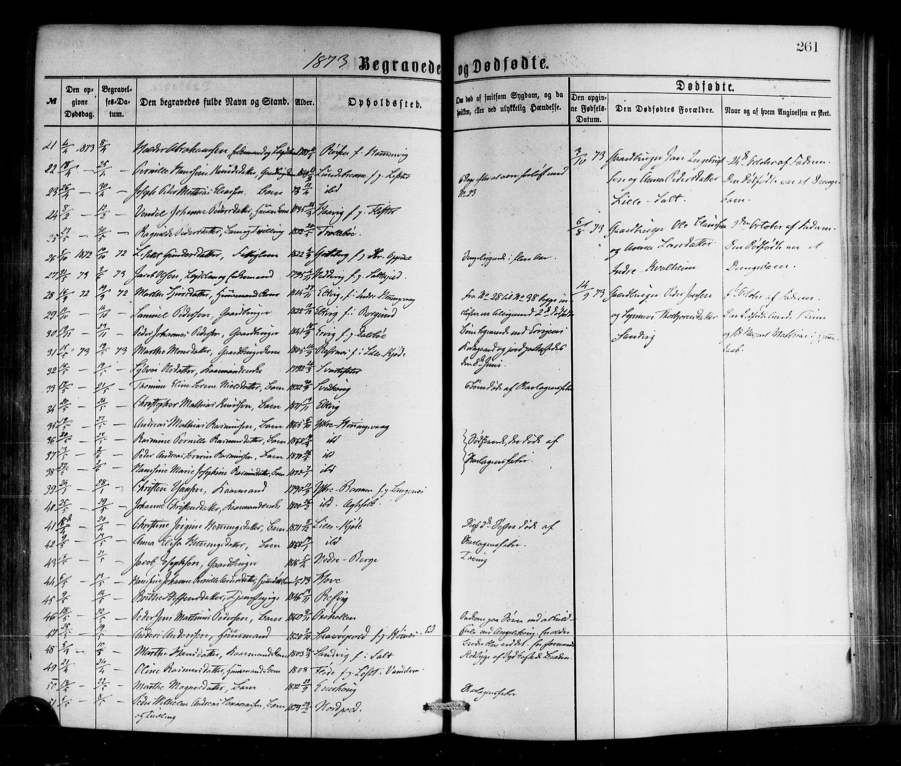 Selje sokneprestembete, SAB/A-99938/H/Ha/Haa/Haaa: Parish register (official) no. A 12, 1870-1880, p. 261