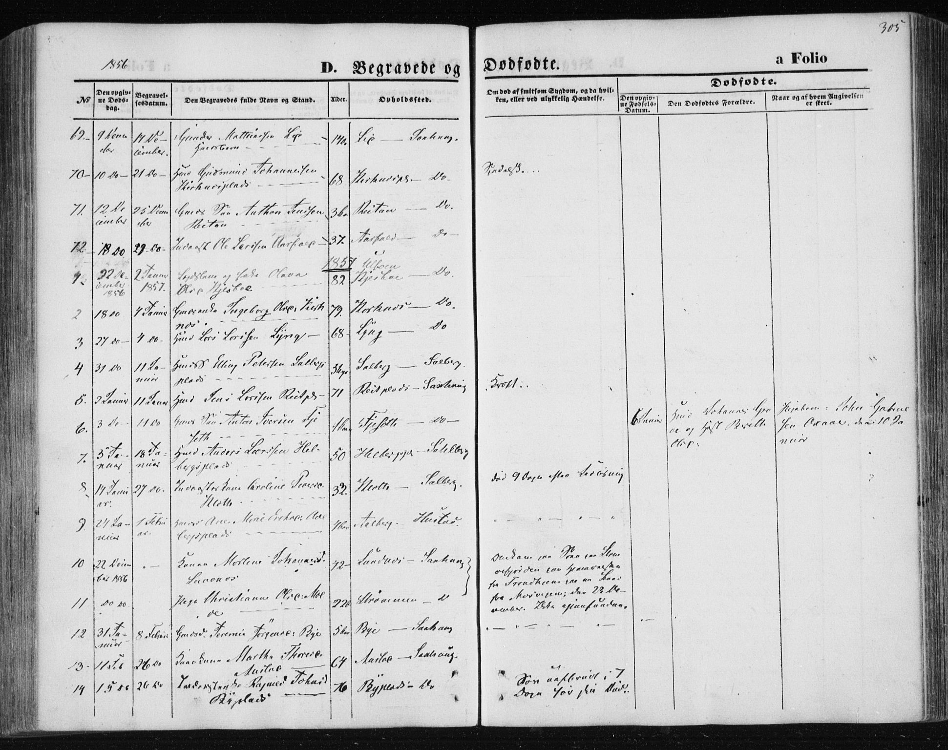 Ministerialprotokoller, klokkerbøker og fødselsregistre - Nord-Trøndelag, SAT/A-1458/730/L0283: Parish register (official) no. 730A08, 1855-1865, p. 305