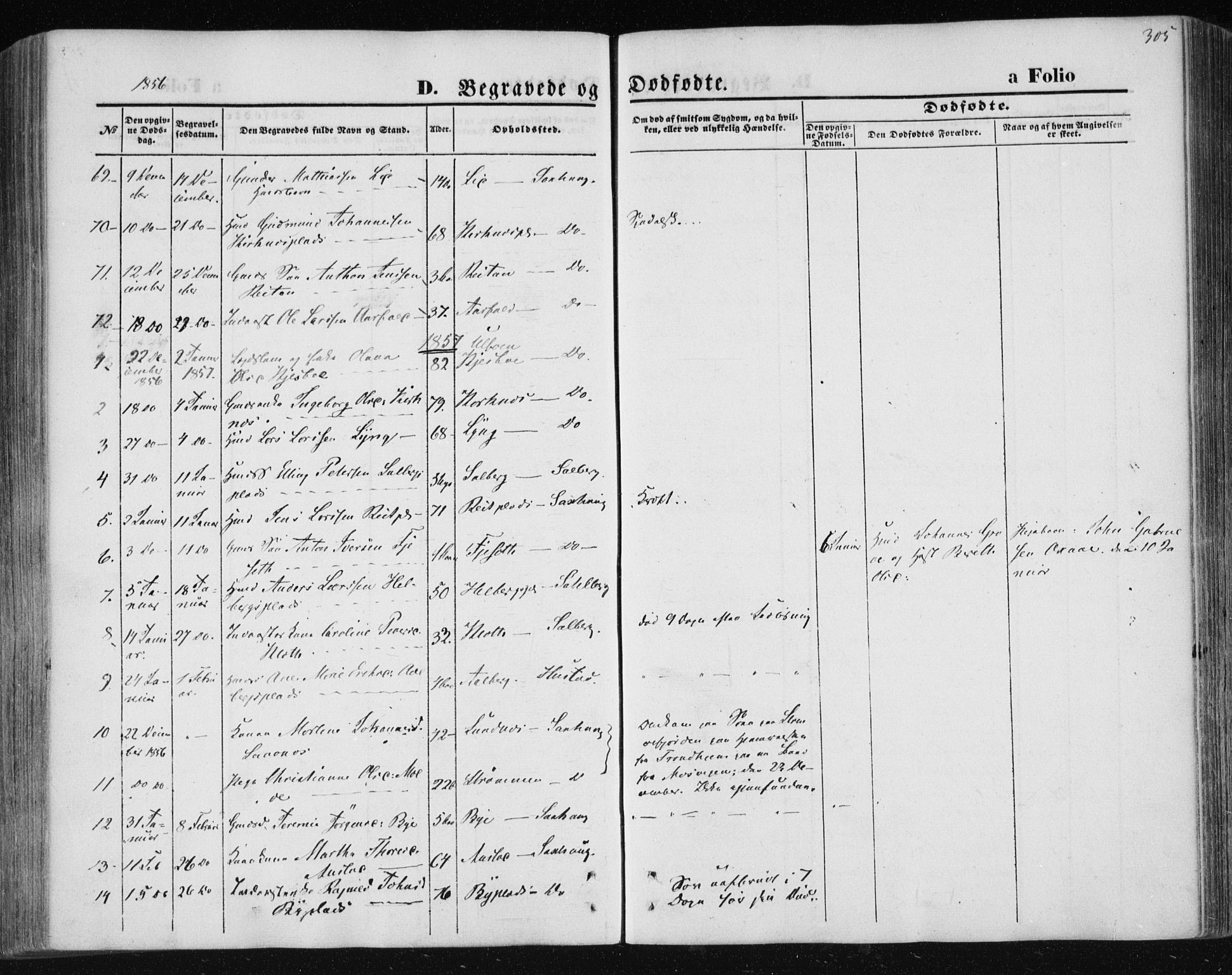 Ministerialprotokoller, klokkerbøker og fødselsregistre - Nord-Trøndelag, AV/SAT-A-1458/730/L0283: Parish register (official) no. 730A08, 1855-1865, p. 305