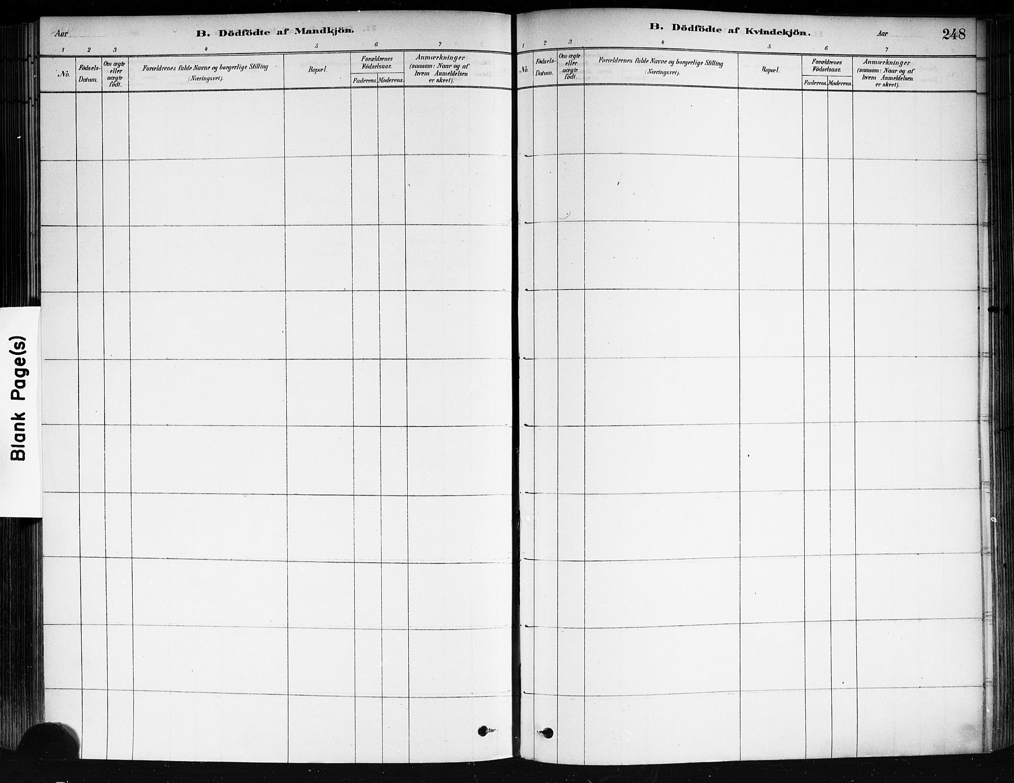 Strømsø kirkebøker, AV/SAKO-A-246/F/Fa/L0021: Parish register (official) no. I 21, 1878-1885, p. 248