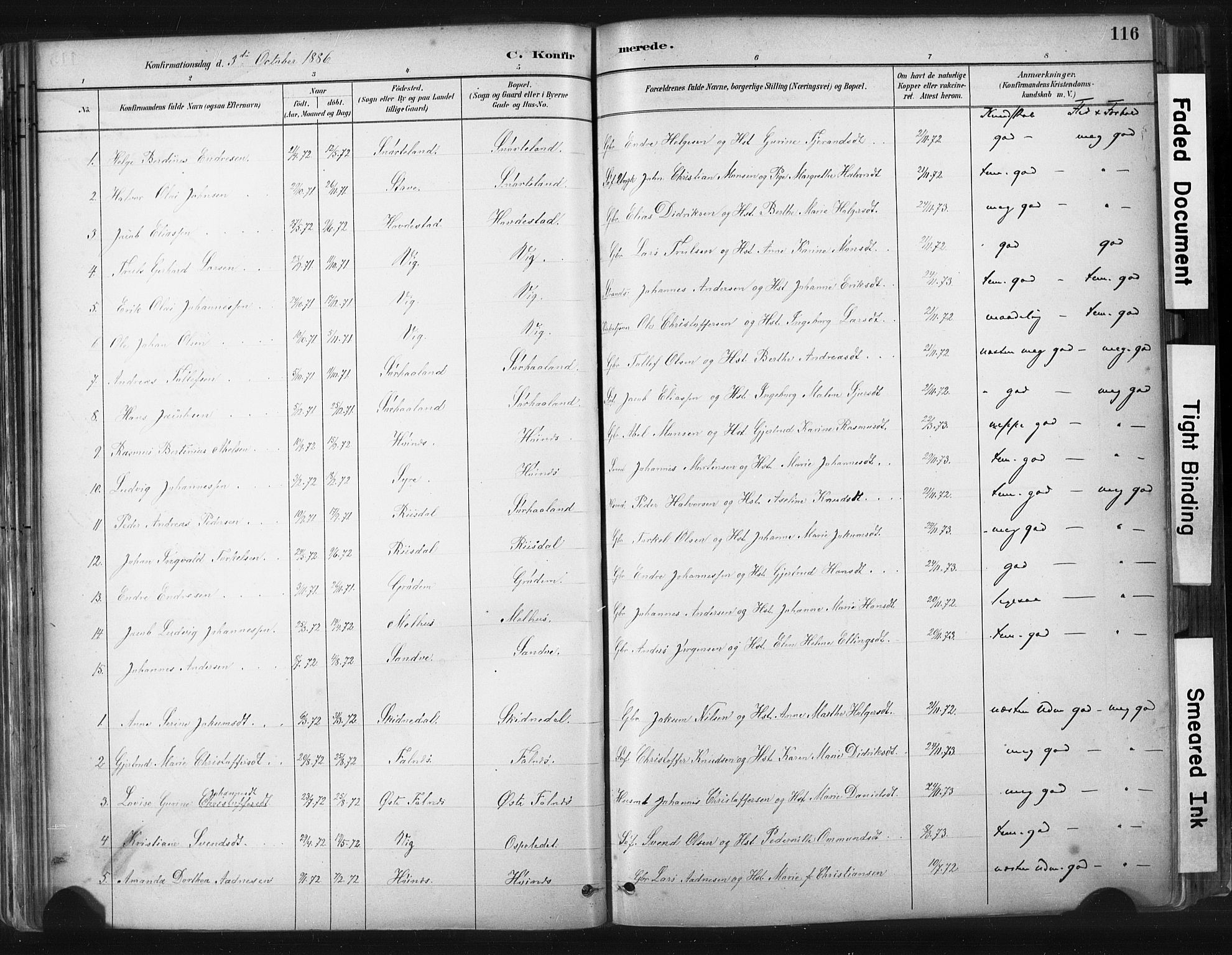 Skudenes sokneprestkontor, SAST/A -101849/H/Ha/Haa/L0009: Parish register (official) no. A 6, 1882-1912, p. 116