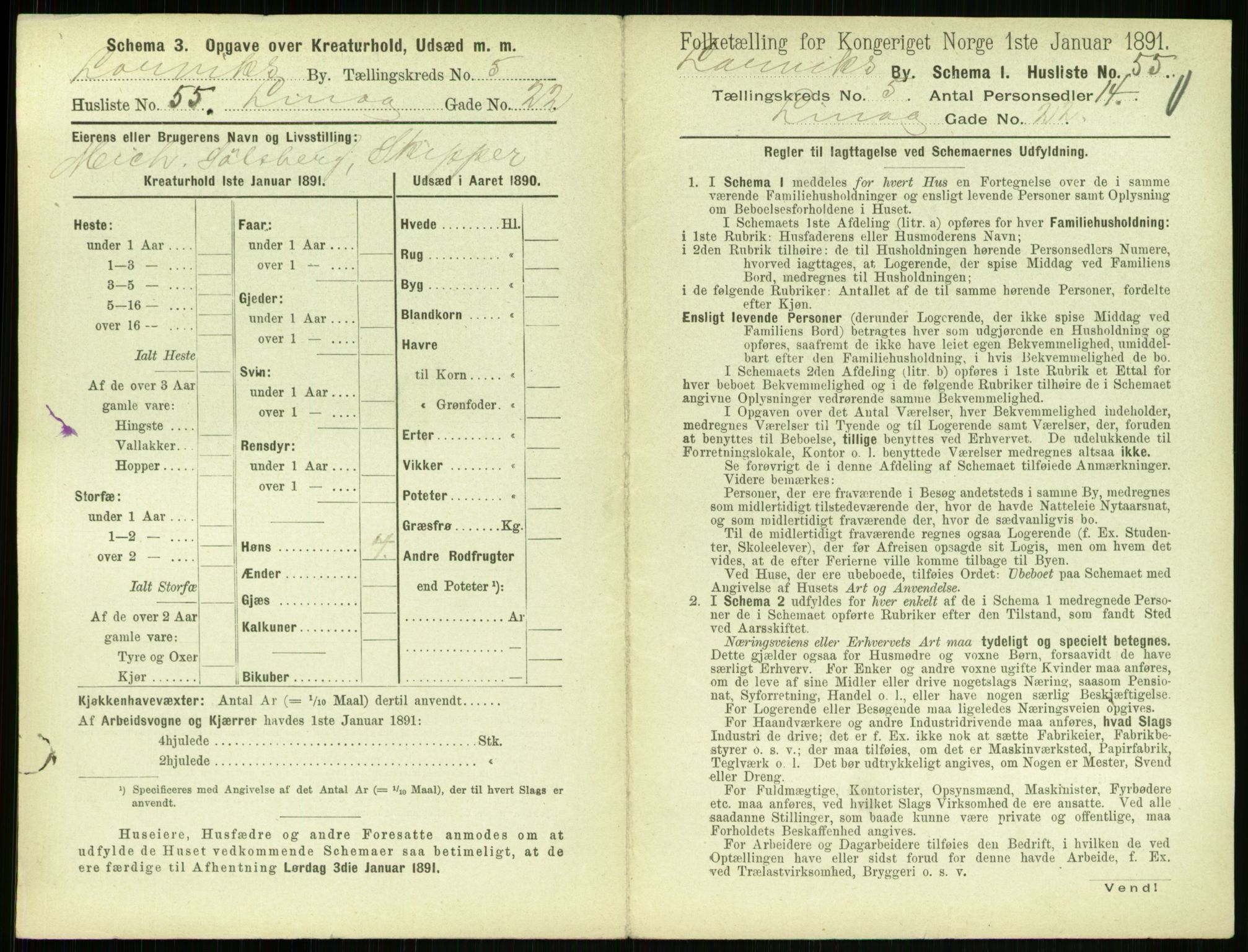 RA, 1891 census for 0707 Larvik, 1891, p. 797