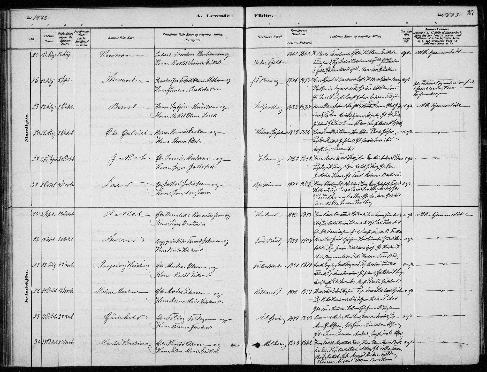 Strand sokneprestkontor, AV/SAST-A-101828/H/Ha/Hab/L0004: Parish register (copy) no. B 4, 1878-1903, p. 37