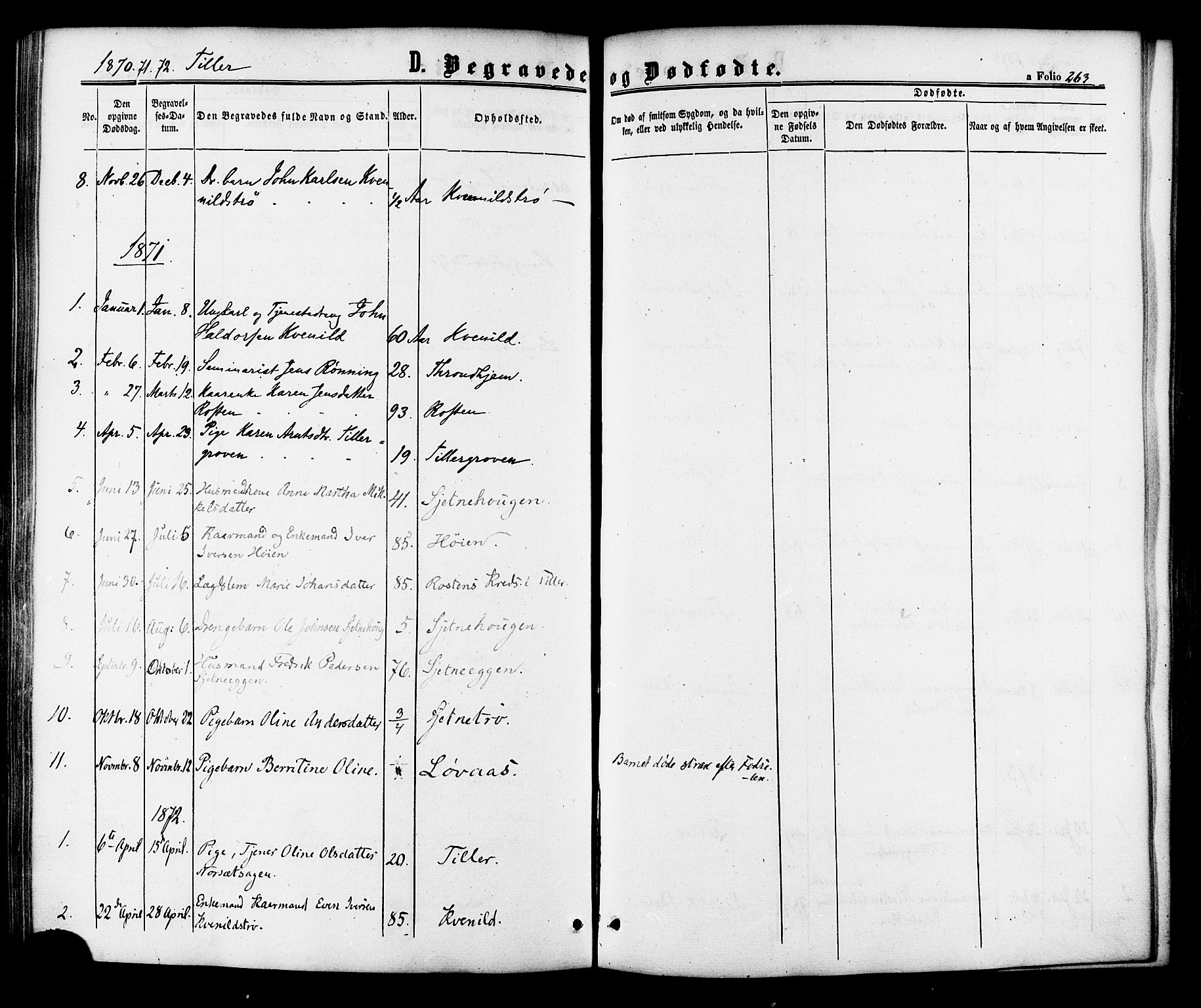 Ministerialprotokoller, klokkerbøker og fødselsregistre - Sør-Trøndelag, SAT/A-1456/618/L0443: Parish register (official) no. 618A06 /2, 1863-1879, p. 263