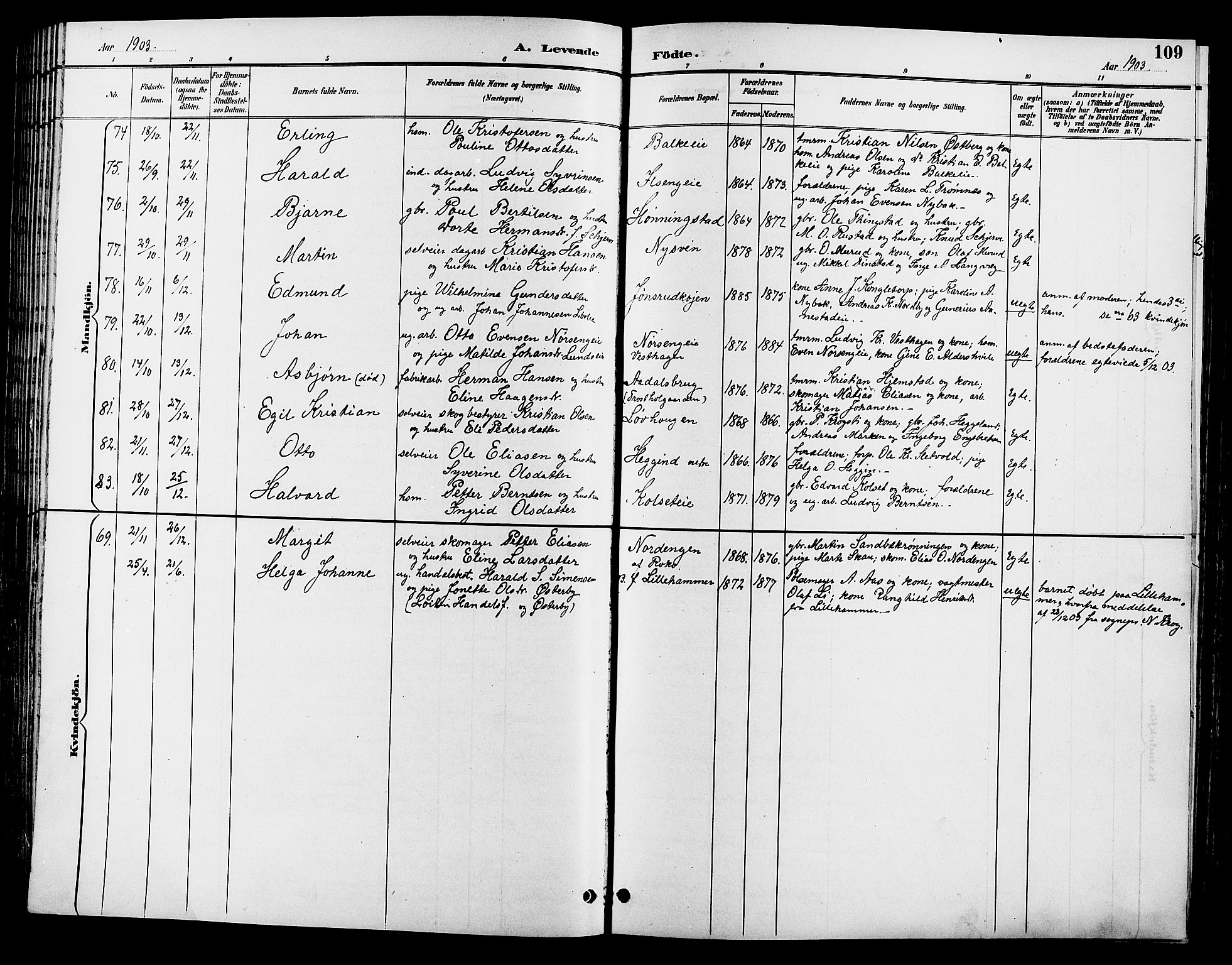 Løten prestekontor, AV/SAH-PREST-022/L/La/L0006: Parish register (copy) no. 6, 1892-1909, p. 109