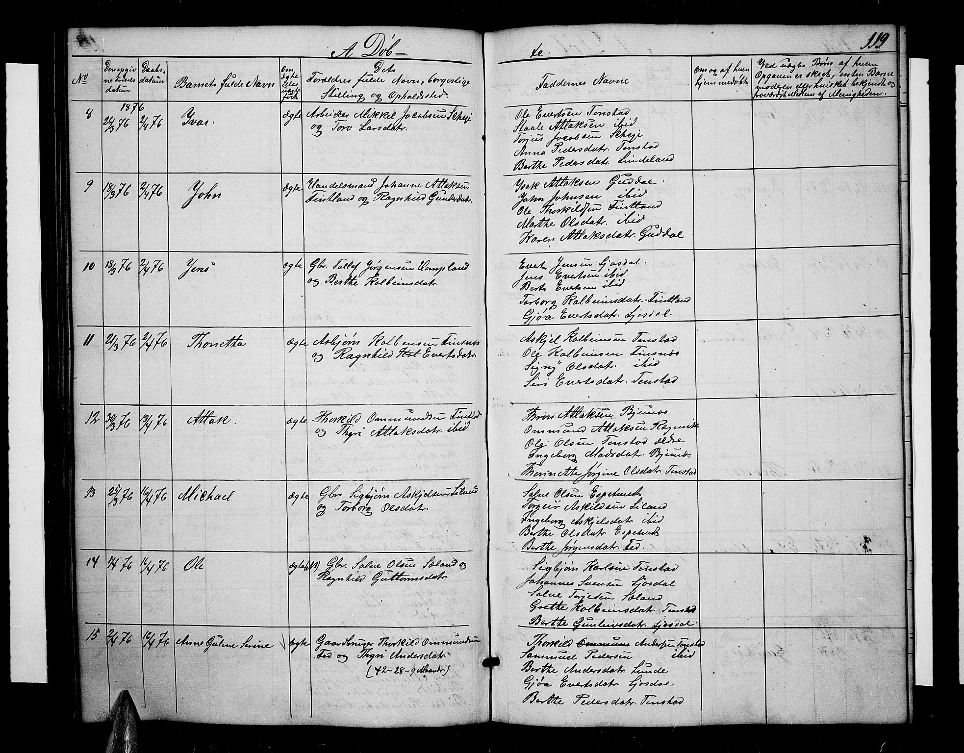 Sirdal sokneprestkontor, AV/SAK-1111-0036/F/Fb/Fbb/L0002: Parish register (copy) no. B 2, 1848-1878, p. 119