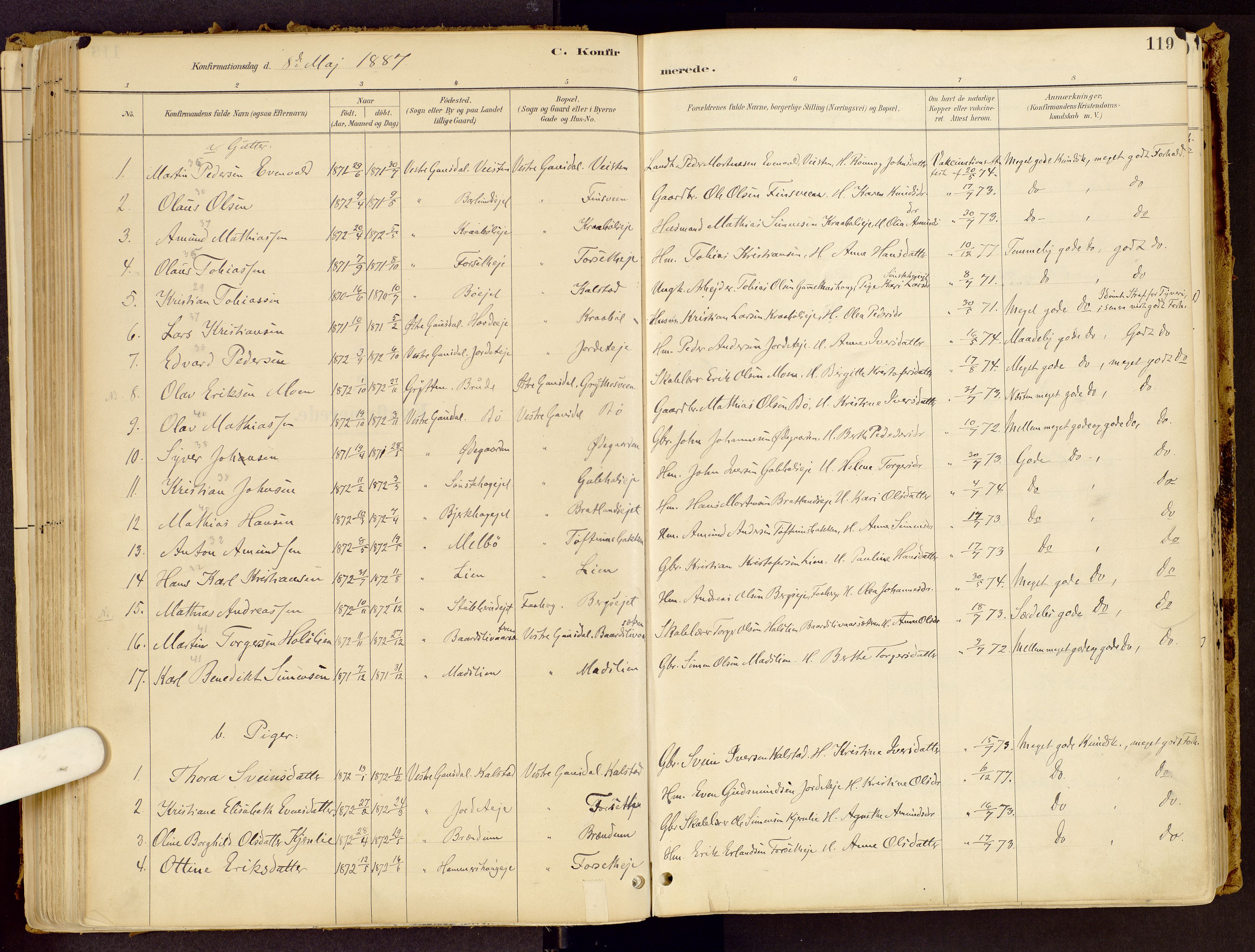 Vestre Gausdal prestekontor, SAH/PREST-094/H/Ha/Haa/L0001: Parish register (official) no. 1, 1887-1914, p. 119