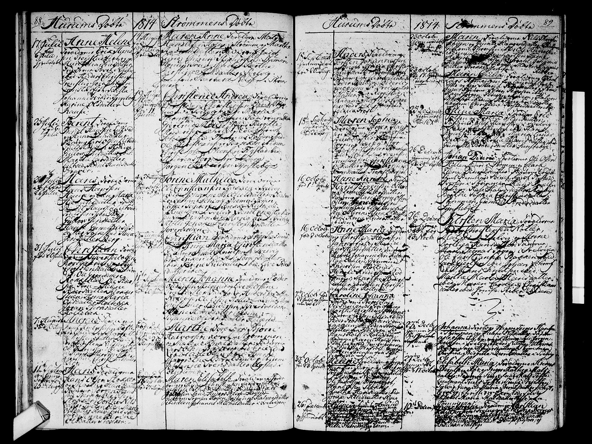 Hurum kirkebøker, AV/SAKO-A-229/F/Fa/L0008: Parish register (official) no. 8, 1810-1815, p. 88-89