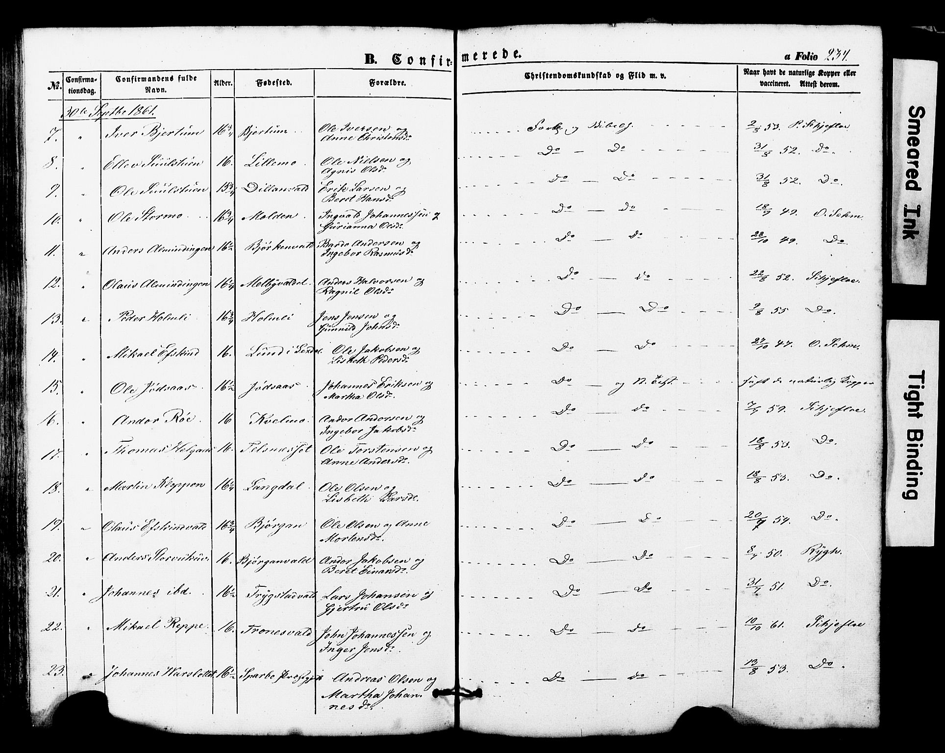 Ministerialprotokoller, klokkerbøker og fødselsregistre - Nord-Trøndelag, AV/SAT-A-1458/724/L0268: Parish register (copy) no. 724C04, 1846-1878, p. 234