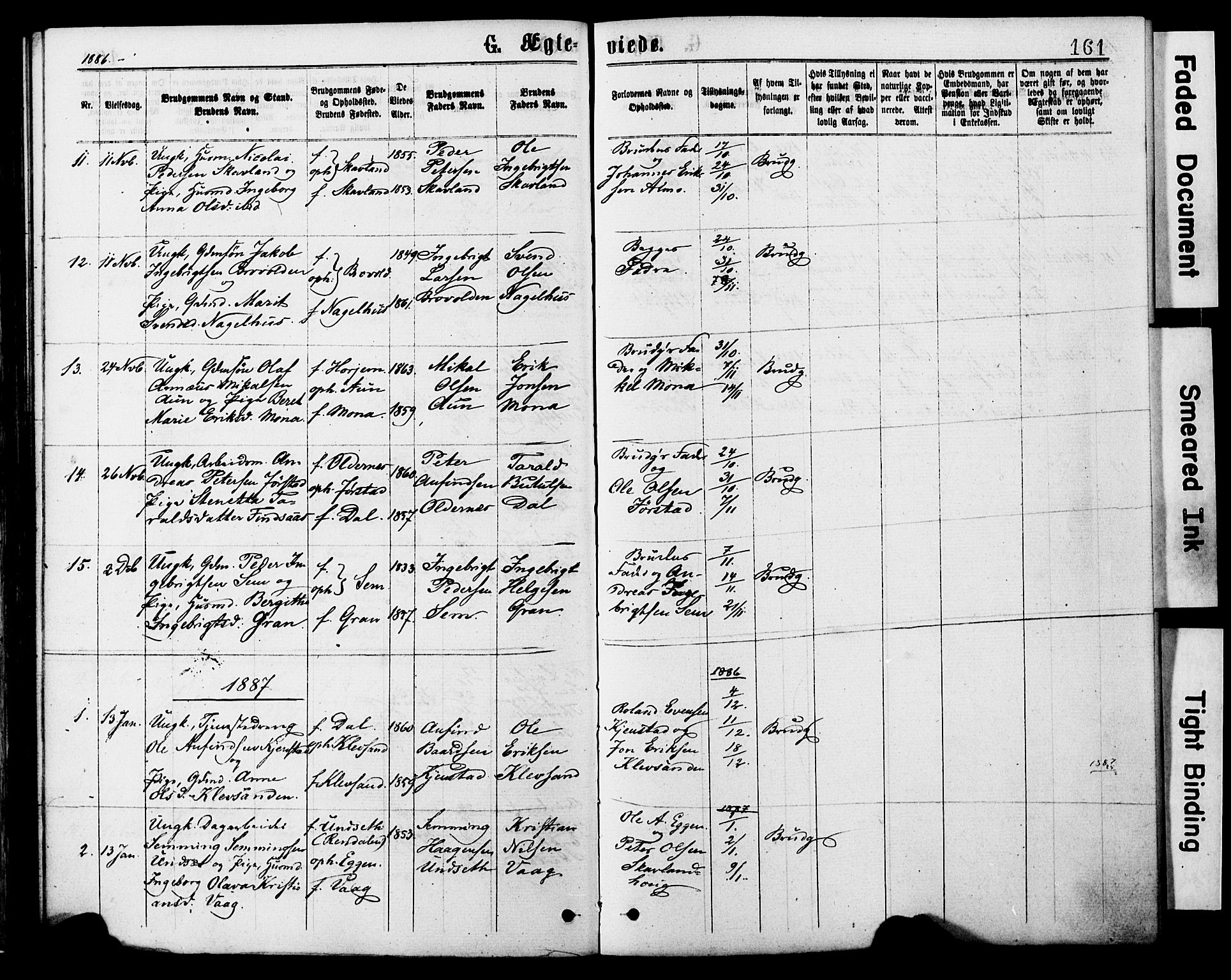 Ministerialprotokoller, klokkerbøker og fødselsregistre - Nord-Trøndelag, SAT/A-1458/749/L0473: Parish register (official) no. 749A07, 1873-1887, p. 161