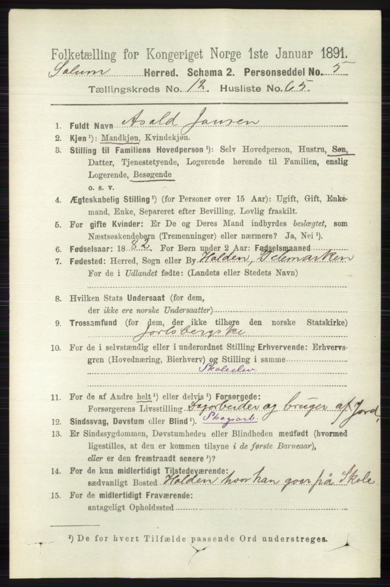 RA, 1891 census for 0818 Solum, 1891, p. 5990