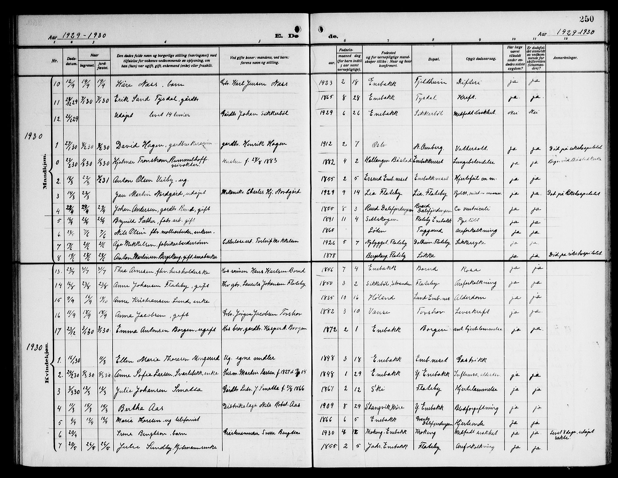 Enebakk prestekontor Kirkebøker, SAO/A-10171c/G/Ga/L0007: Parish register (copy) no. I 7, 1911-1949, p. 250